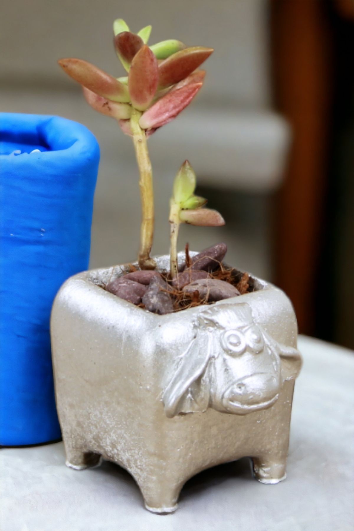 Gümüş thumbnail image