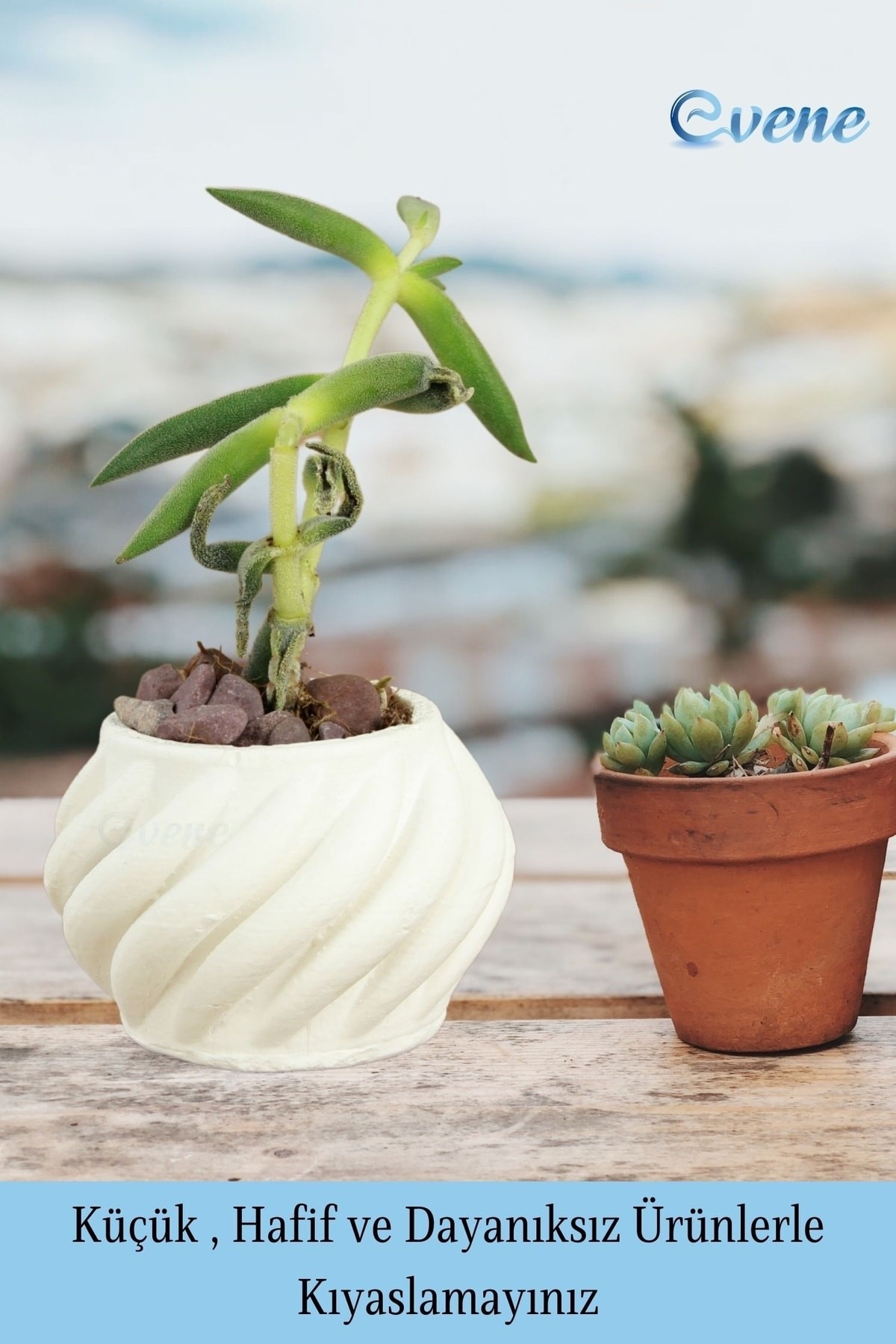 Mini Çiçek Saksı Küçük Sukulent Beyaz Kaktüs Saksısı Kalın Çizgili Spiral Model