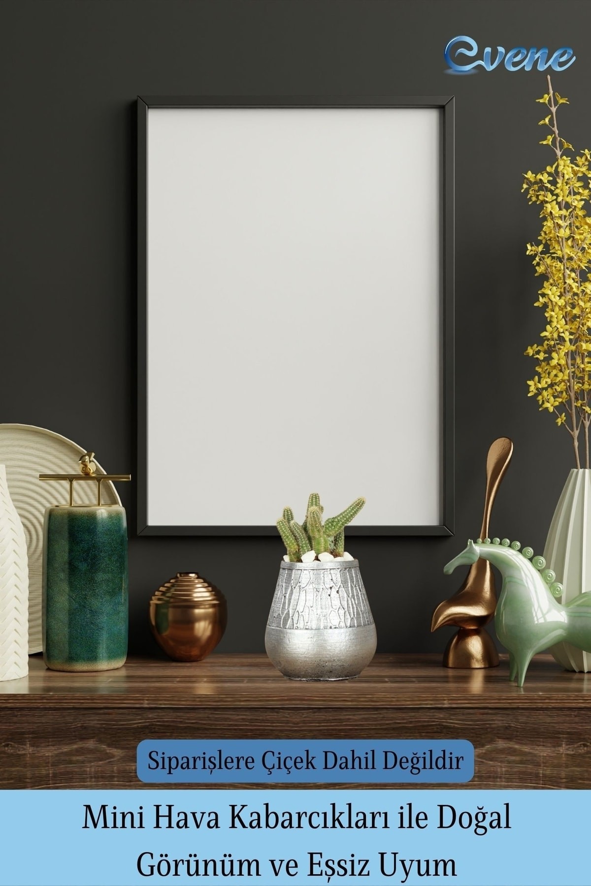 Kaktüs Saksısı Dekoratif Saksı Model 17