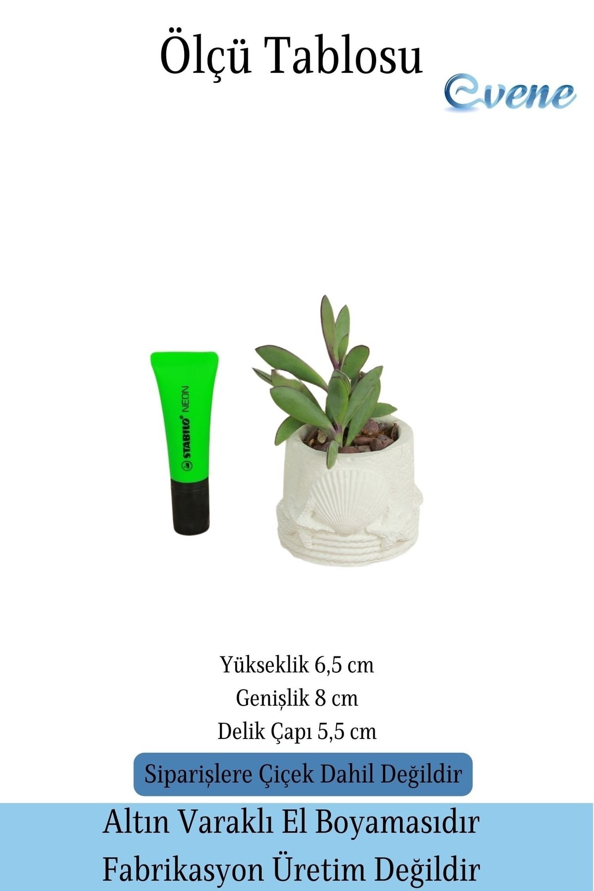 Mini Çiçek Saksı Küçük Sukulent Beyaz Kaktüs Saksısı Deniz Yıldızlı Kabuklu Model