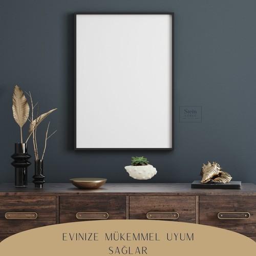 Stein Kohle Dekoratif Saksı Minik Kaktüs Saksısı Deniz Kabuğu Model