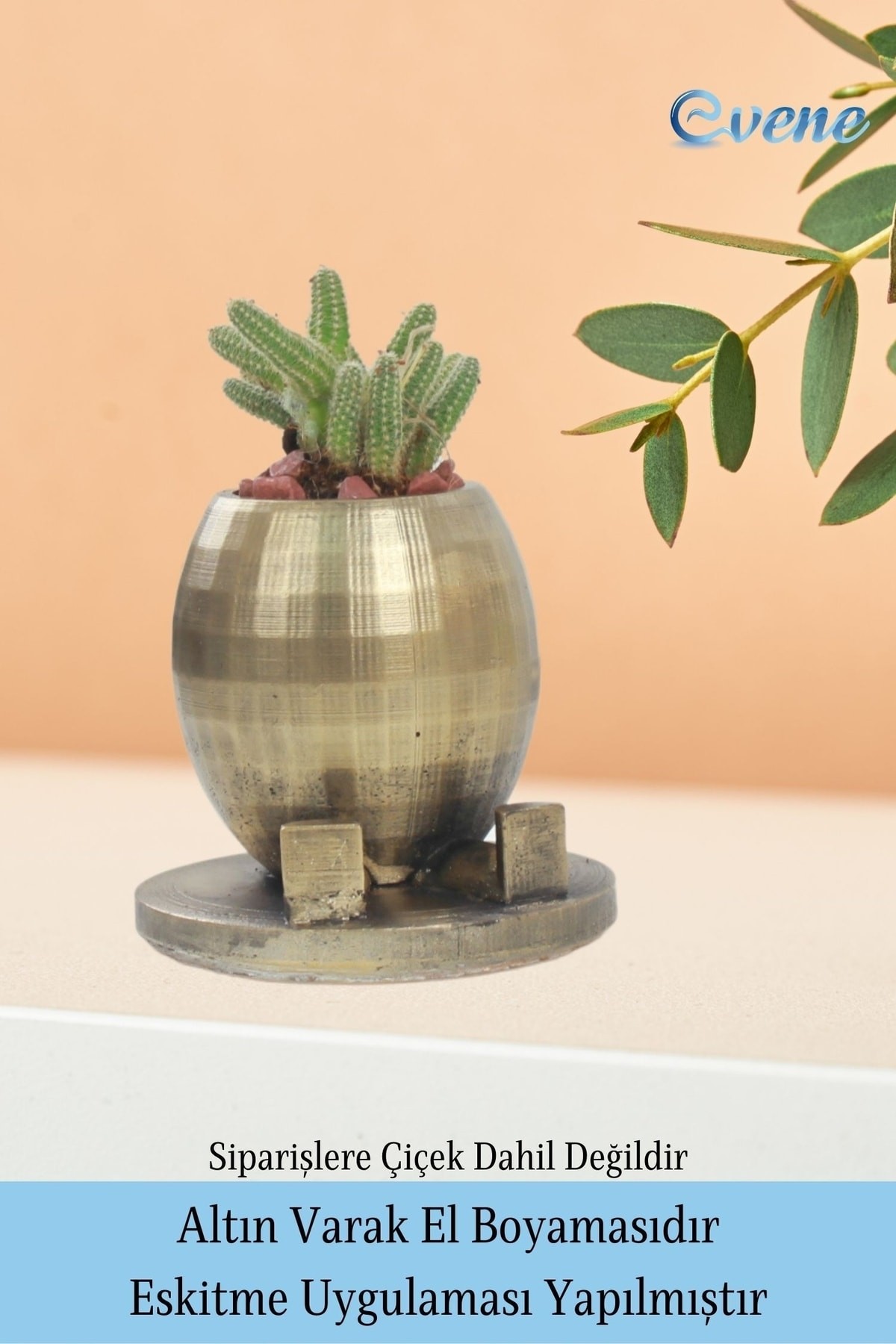 Saksı Çiçek Kaktüs Saksısı Lüx 17 cm Altın Eskitme Varak Boyalı Yuvarlak Ayaklı Saksı Çiçeklik