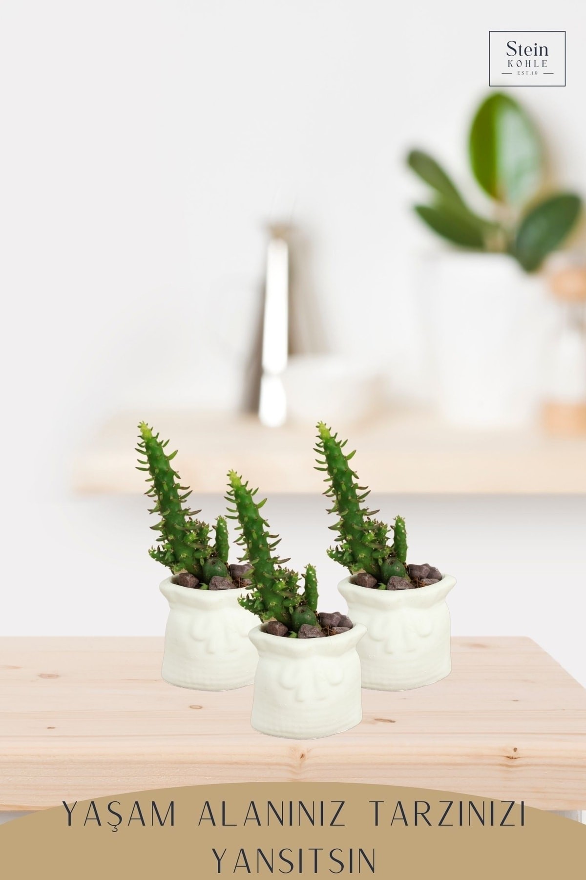 Dekoratif Saksı Minik Kaktüs Saksısı Beyaz Renk 3 Adet Saksı Seti Kese Model