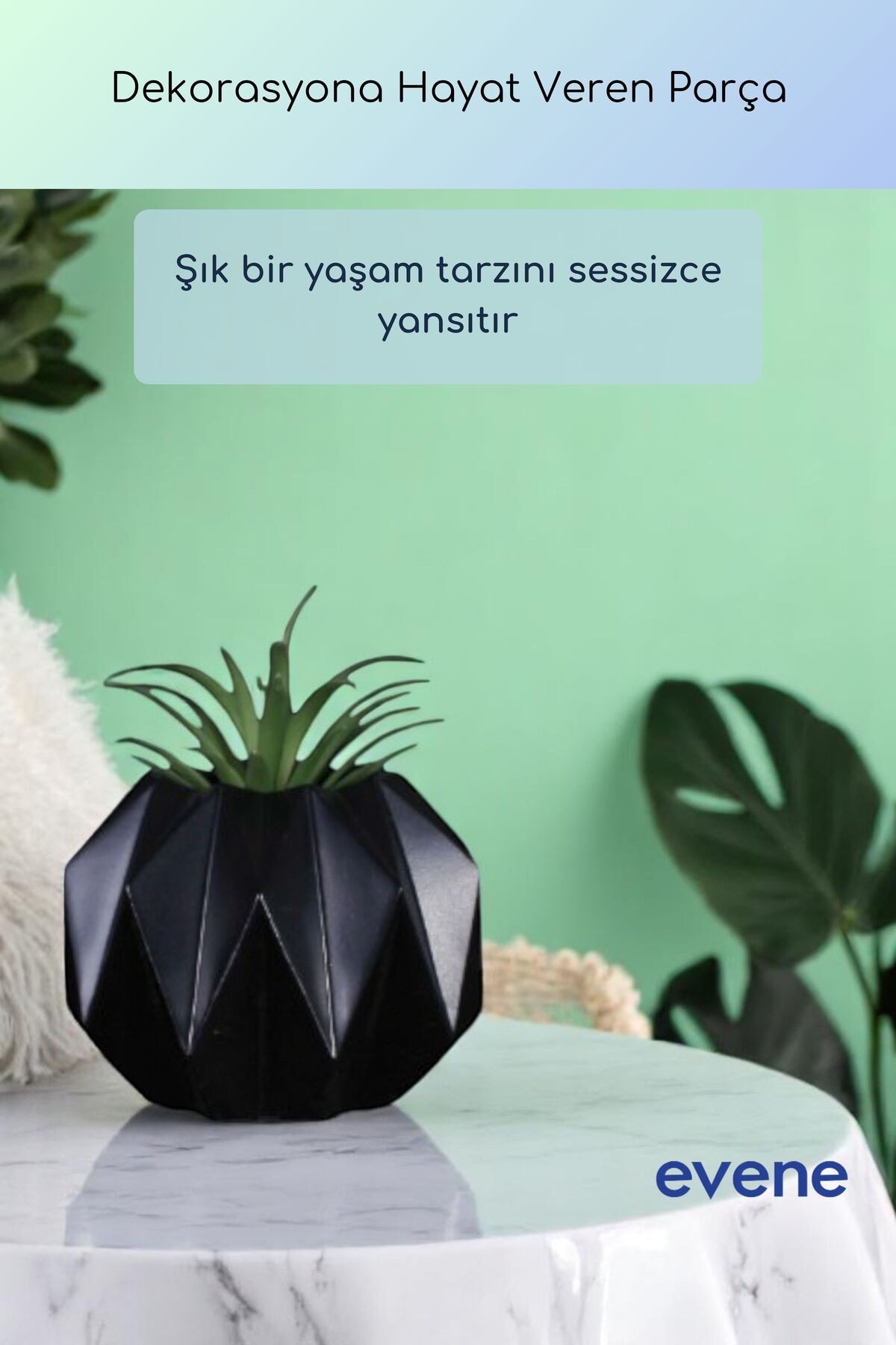 Saksı Dekoratif Saksı Kaktüs Saksısı Sukulent Saksısı Küçük Saksı Model 45 Siyah Saksı