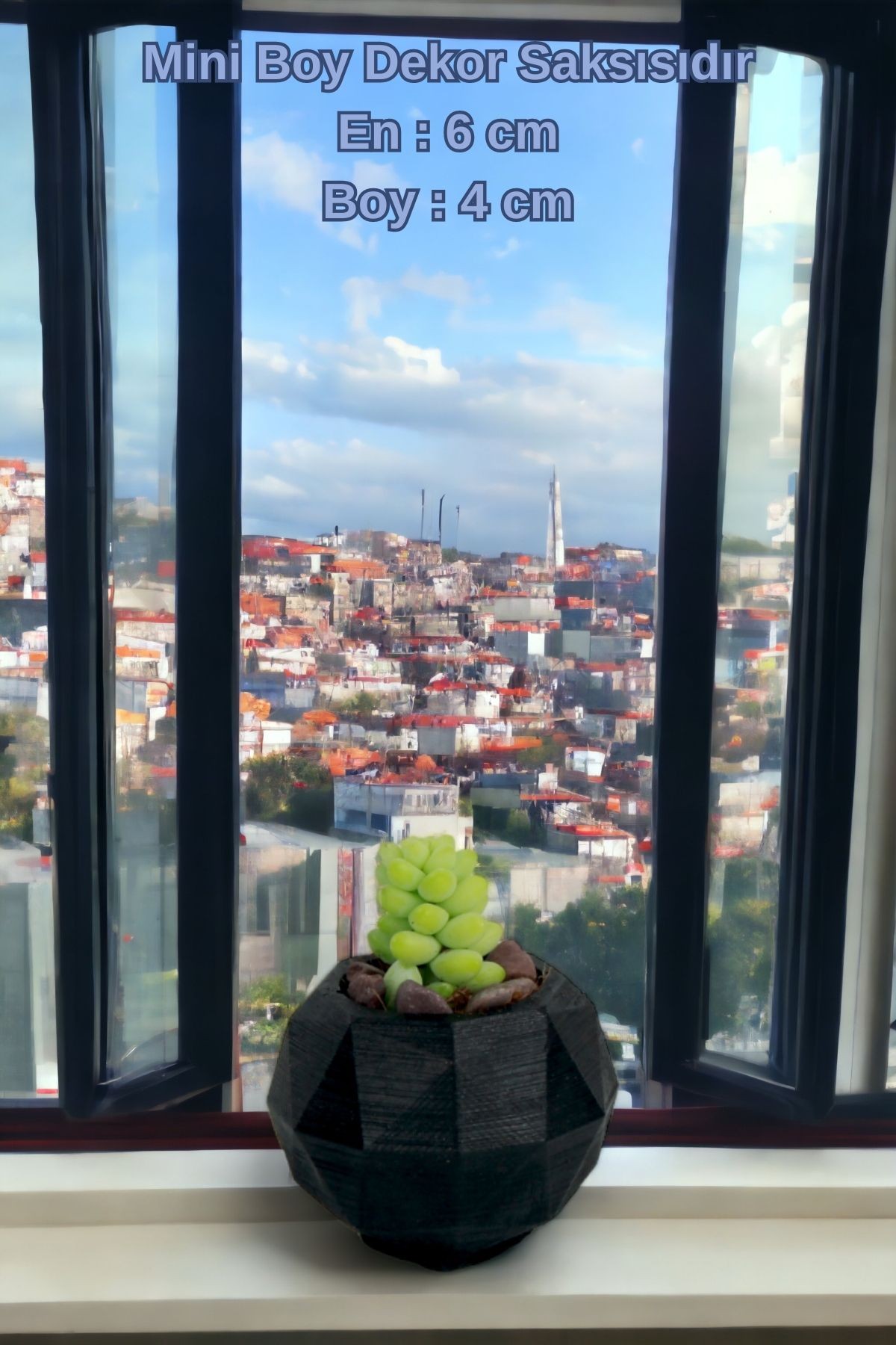 SİYAH thumbnail image