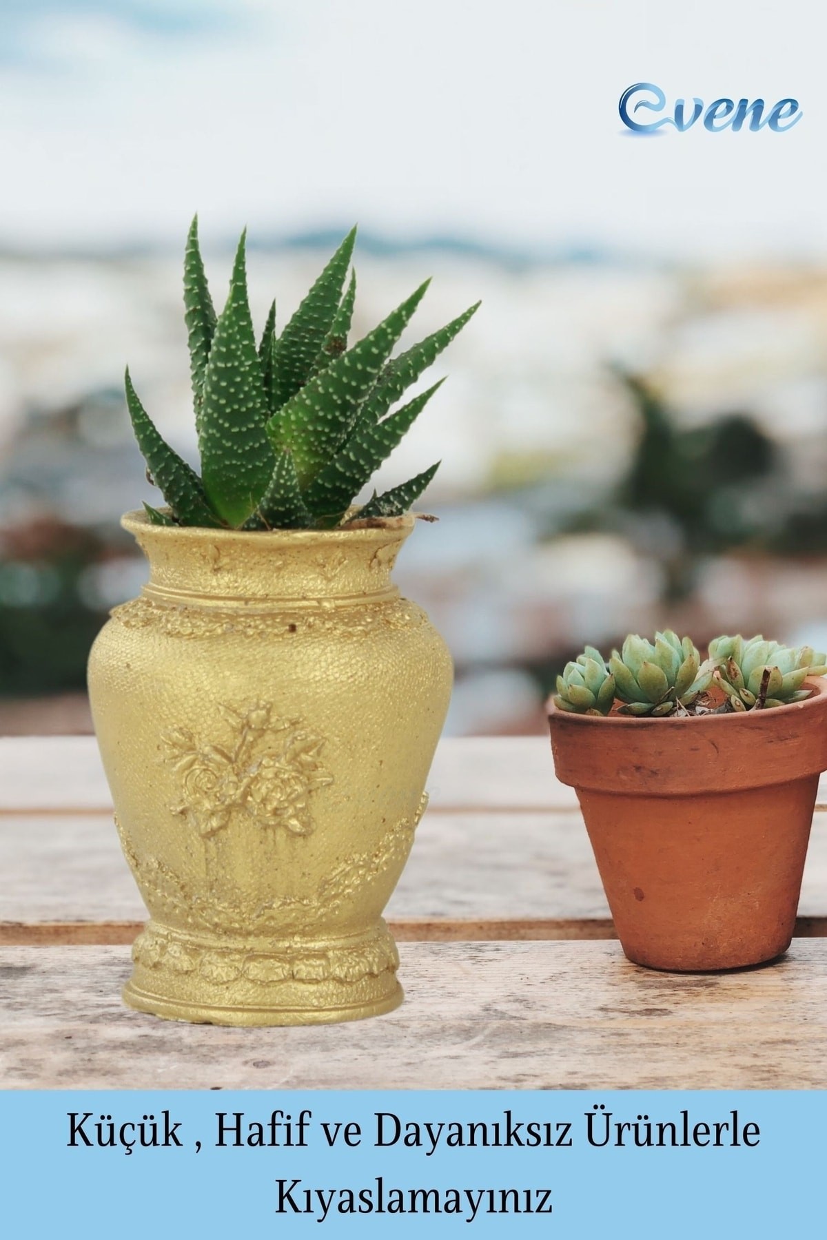 Mini Çiçek Saksı Küçük Sukulent Siyah Kaktüs Saksısı 3'lü Set Mini Desenli Vazo Saksı Model