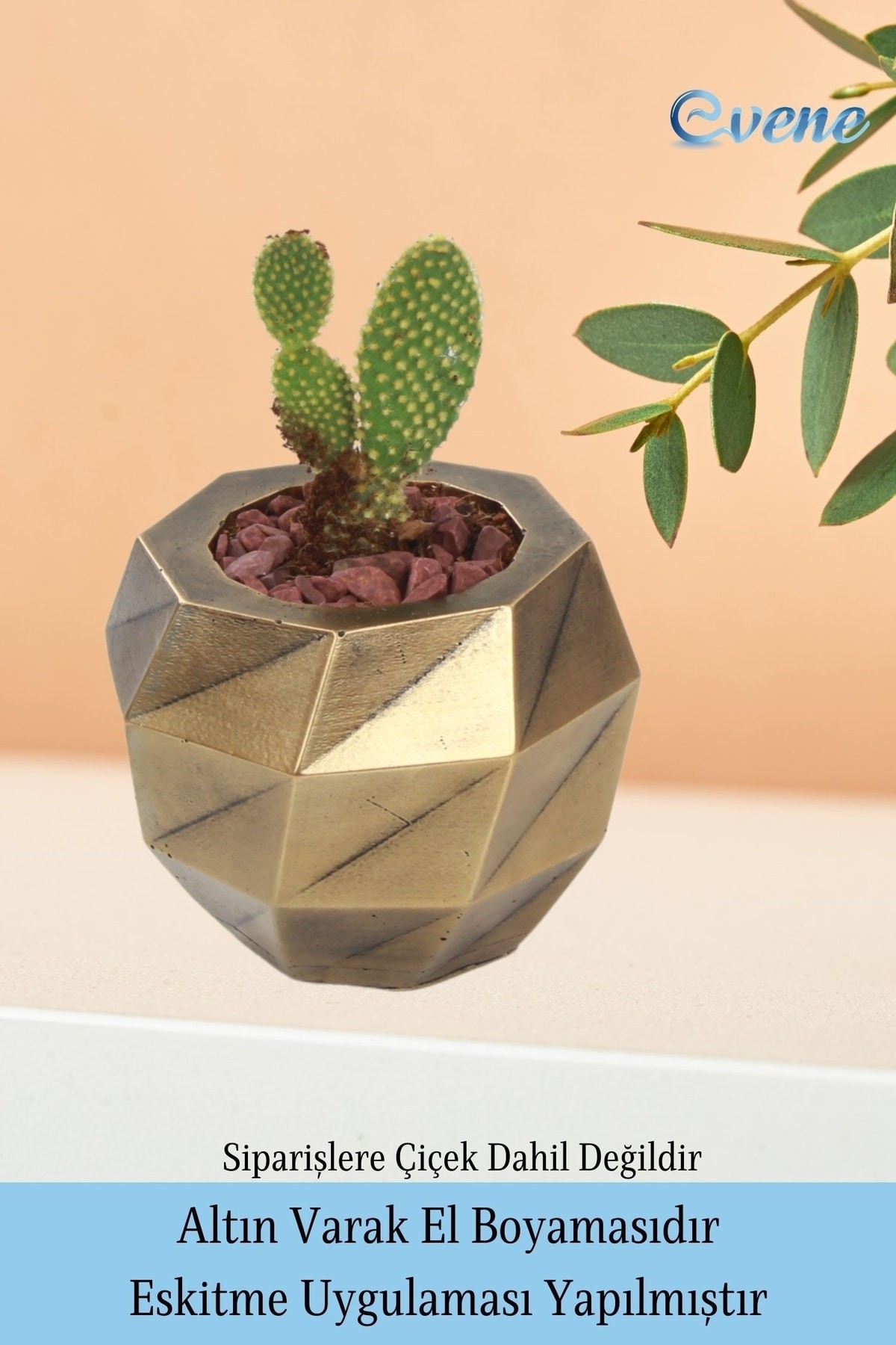 Ahşap Ayaklı Beton Saksı Büyük Boy Set 2 Adet Altın Varak Boyalı Eskitmeli Dönen Poly Model