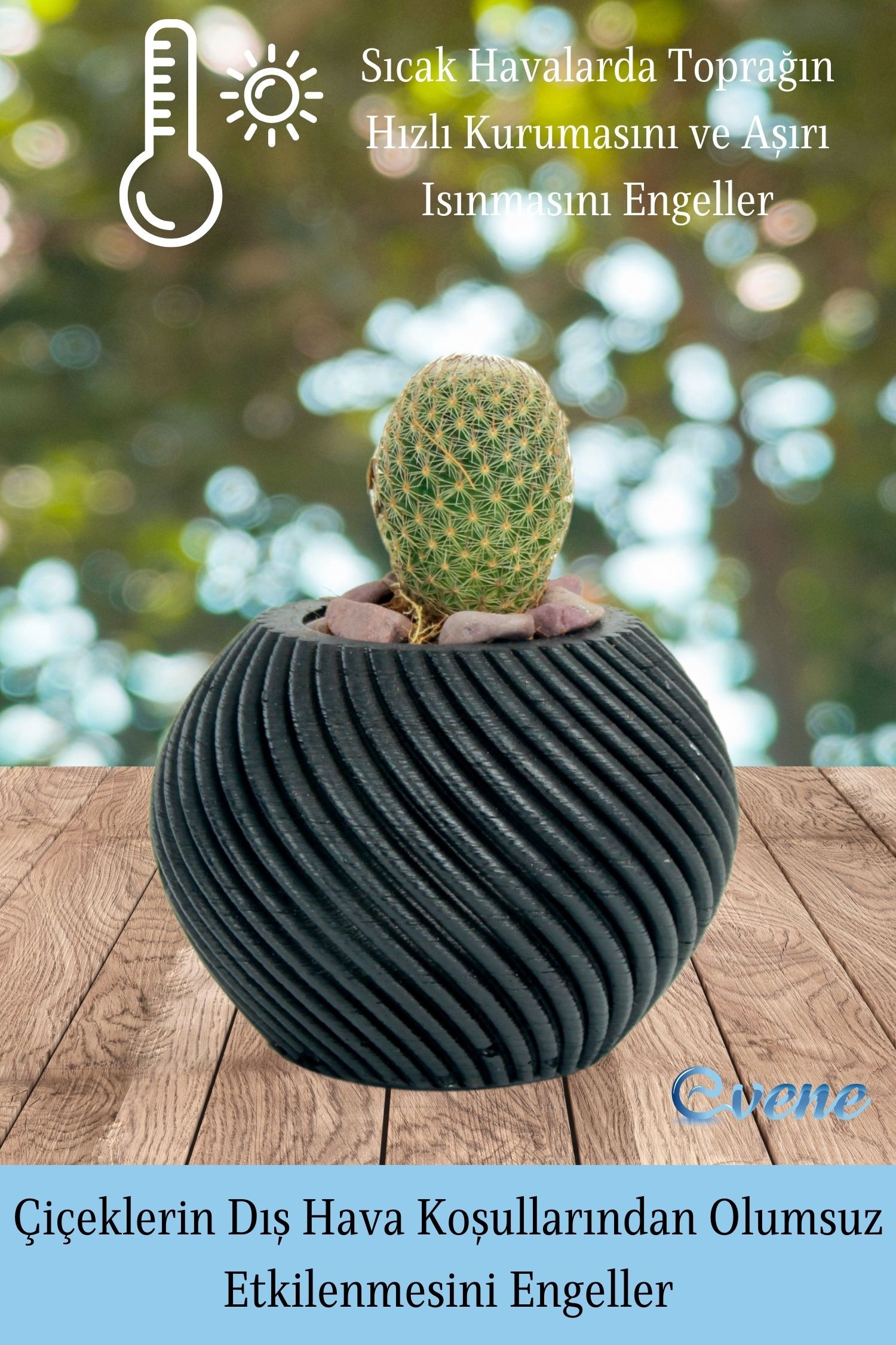 Mini Çiçek Saksısı Küçük Sukulent Siyah Kaktüs Saksı İnce Çizgili Spiral Model