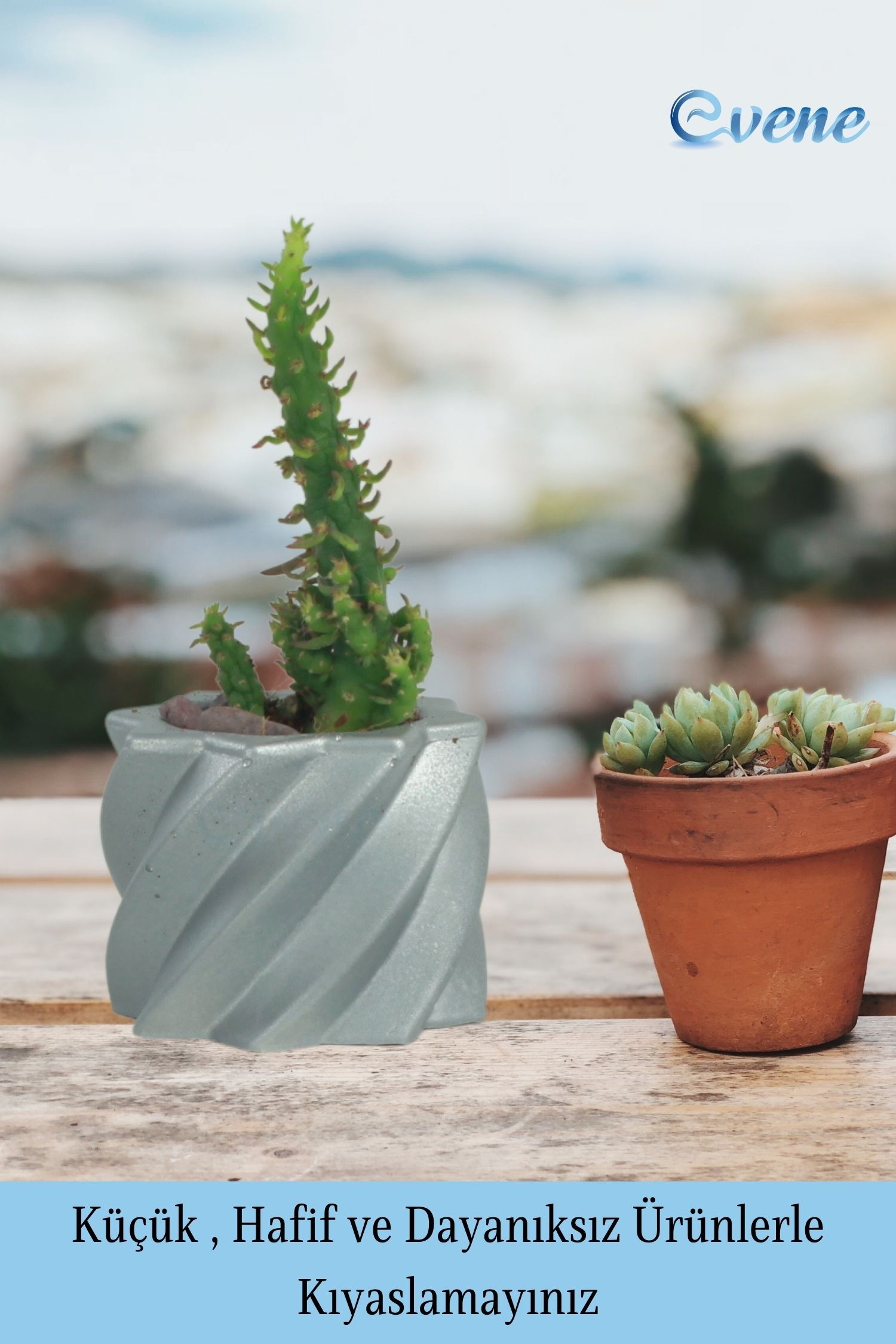 Mini Çiçek Saksısı Küçük Sukulent Gümüş Kaktüs Saksı Kalın Çizgili Yıldız Model
