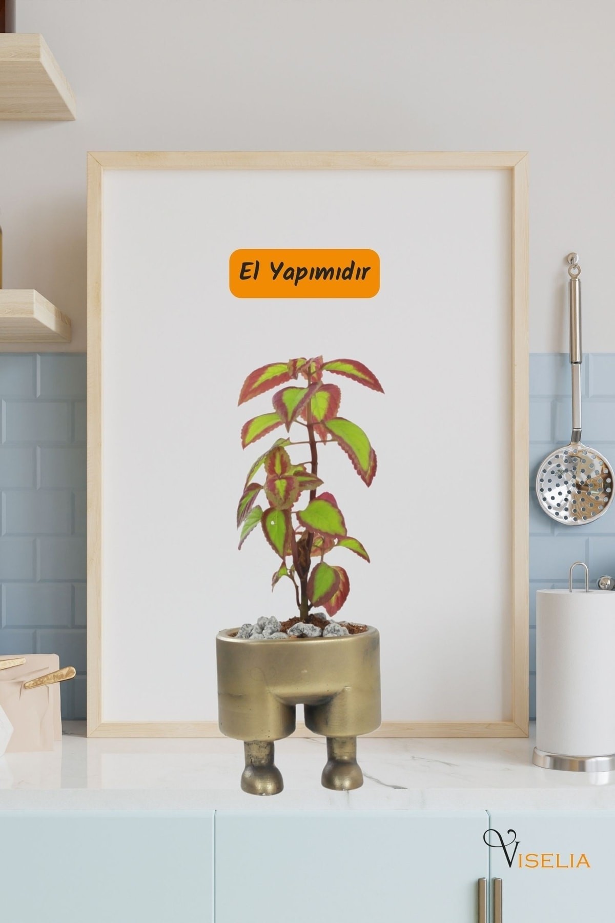 Dekoratif Saksı Altın Eskitme Küçük Çiçek Saksısı Pantolon Model