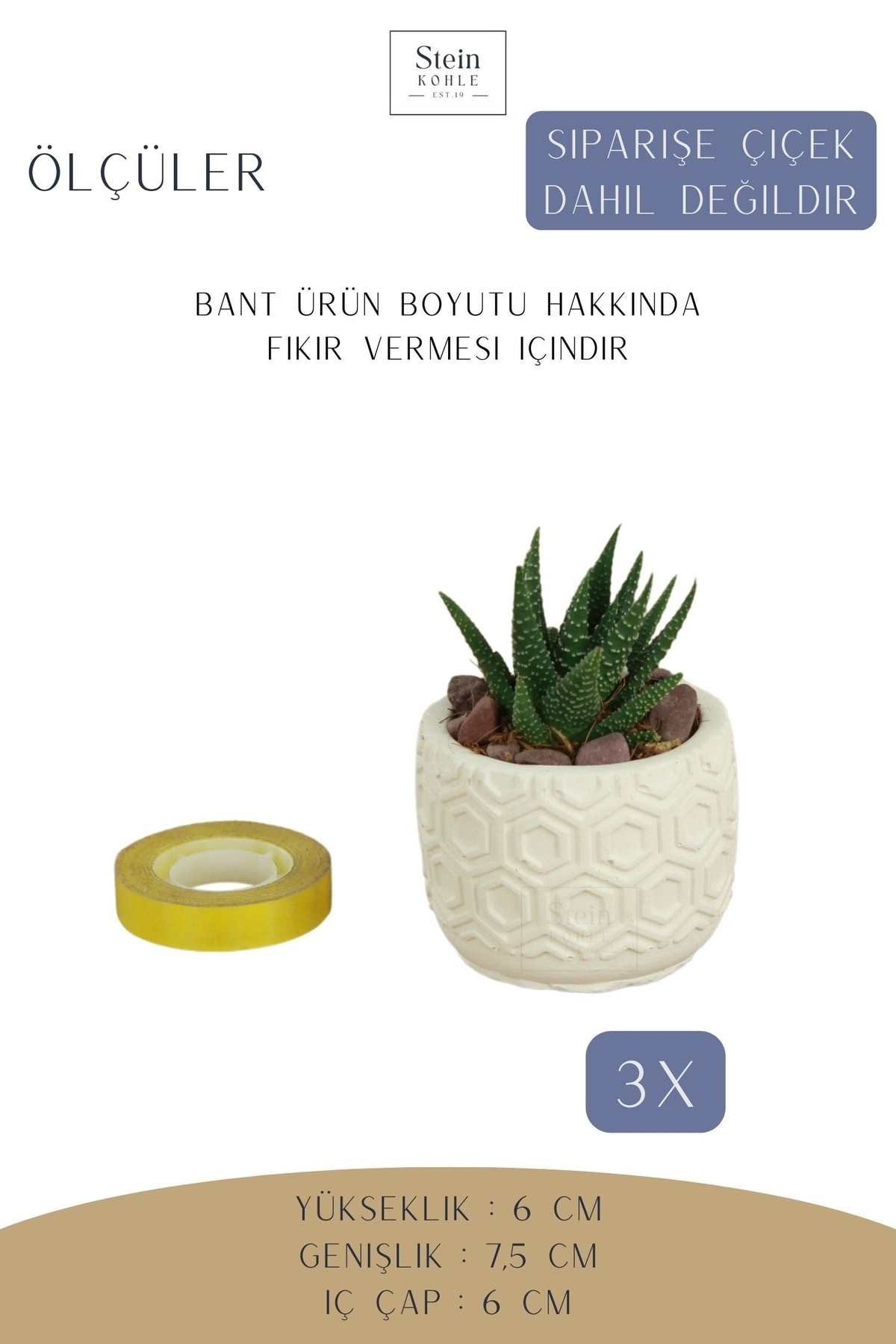 Dekoratif Saksı Minik Kaktüs Saksısı Beyaz Renk 3 Adet Saksı Seti Altıgen Model