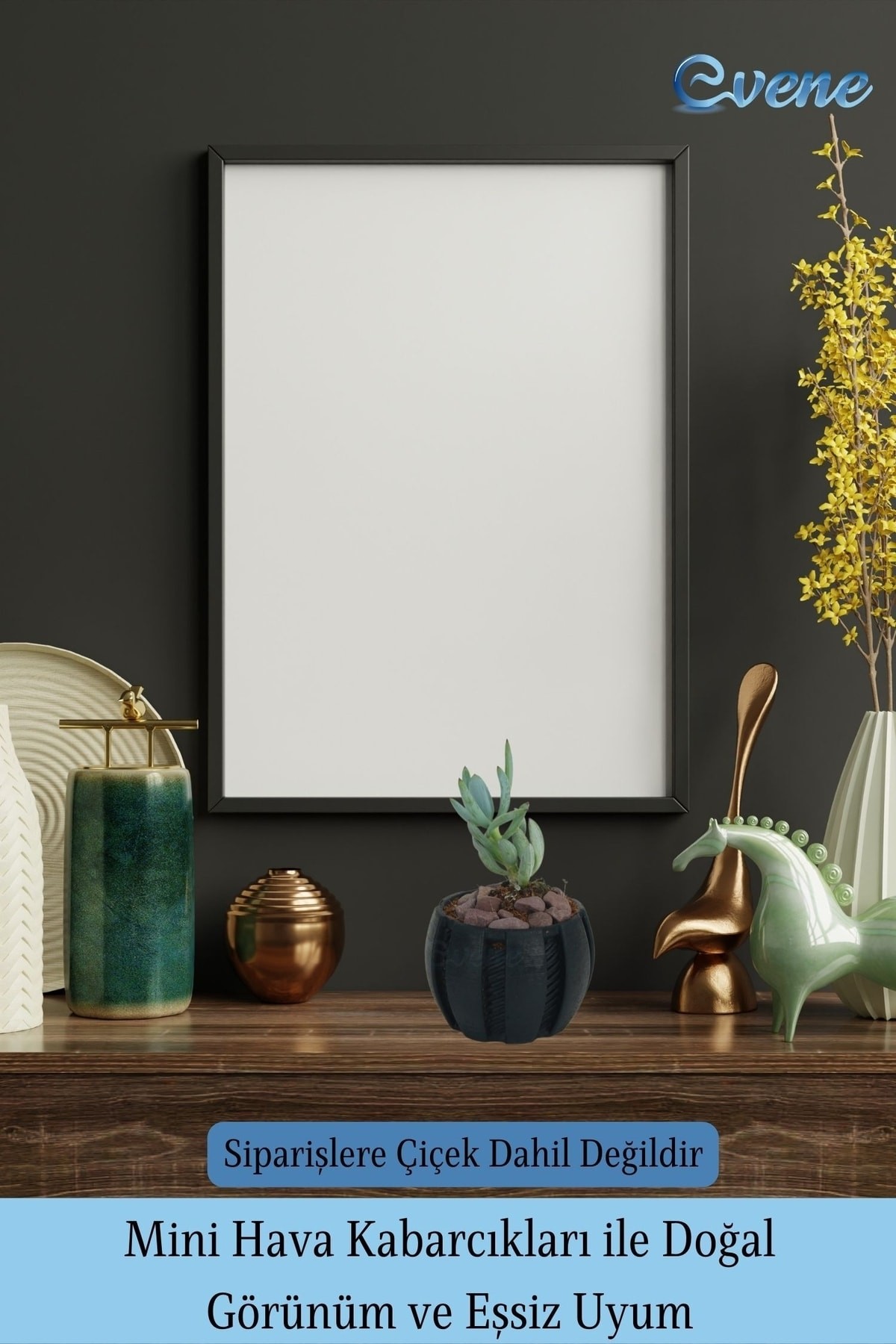 Saksı Kaktüs Saksısı Dekoratif Saksı Model 5
