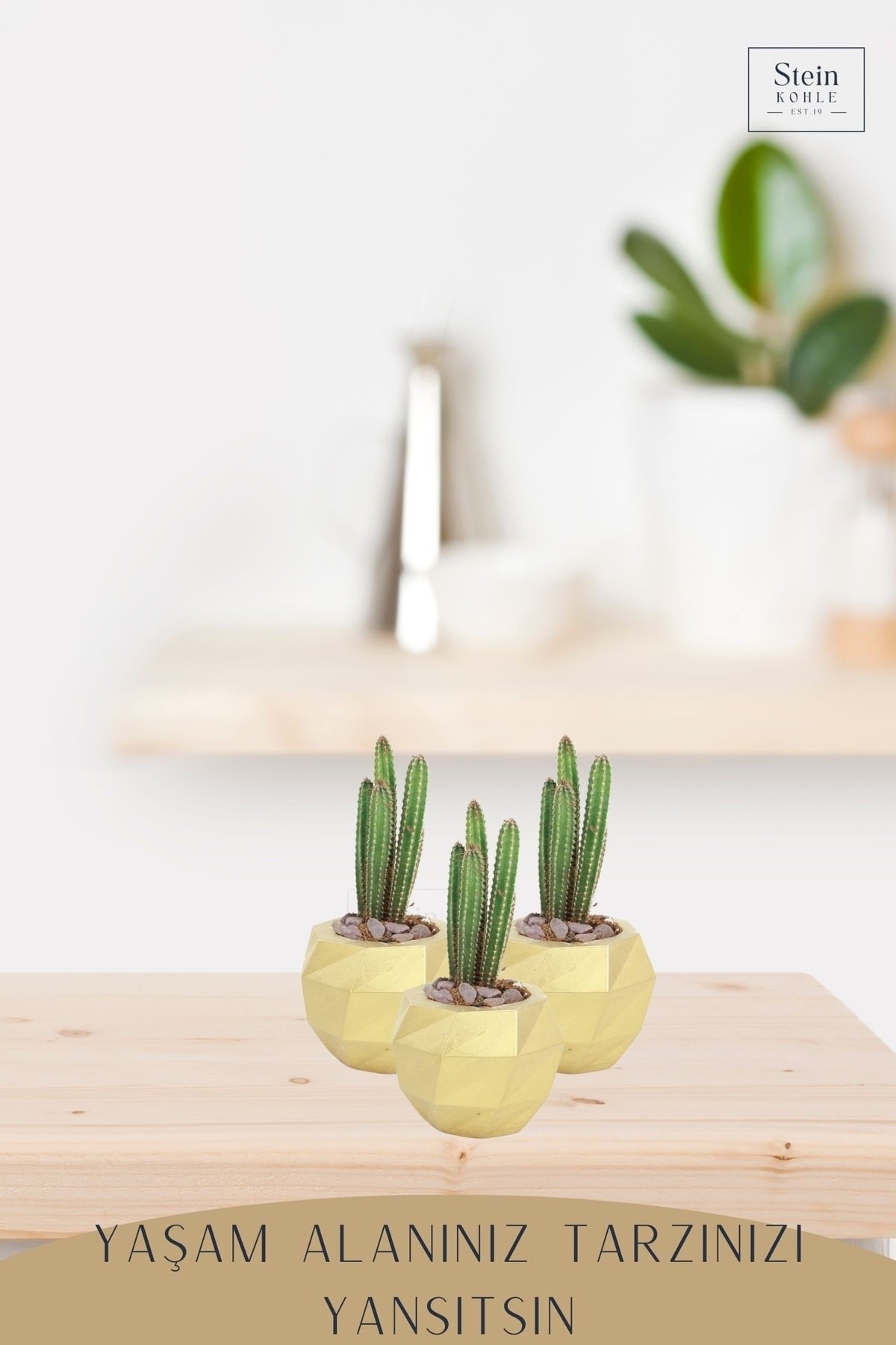 Çiçek Saksısı Dekoratif Kaktüs Saksı 1 Adet Altın Renk Uygulamalı Dönen Poly Model