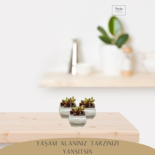 Stein Kohle Dekoratif Saksı Minik Kaktüs Saksısı Mini Çizgili Çiçekli Model