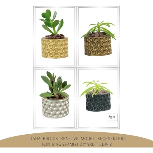Dekoratif Saksı Minik Kaktüs Saksısı Puantiye Model