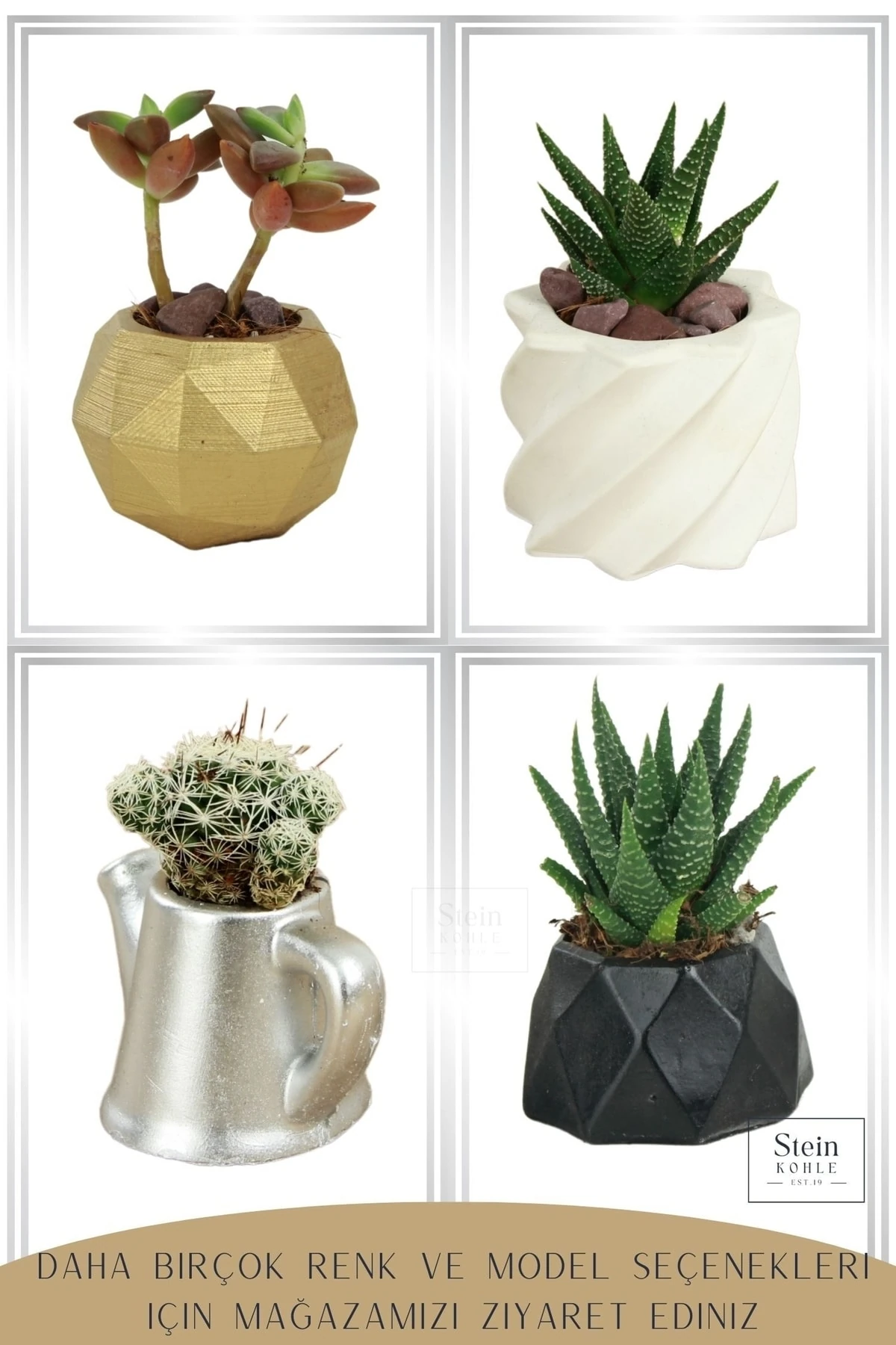 Dekoratif Saksı Minik Kaktüs Saksısı Beyaz Renk 3 Adet Saksı Seti Kalın Yıldız Model