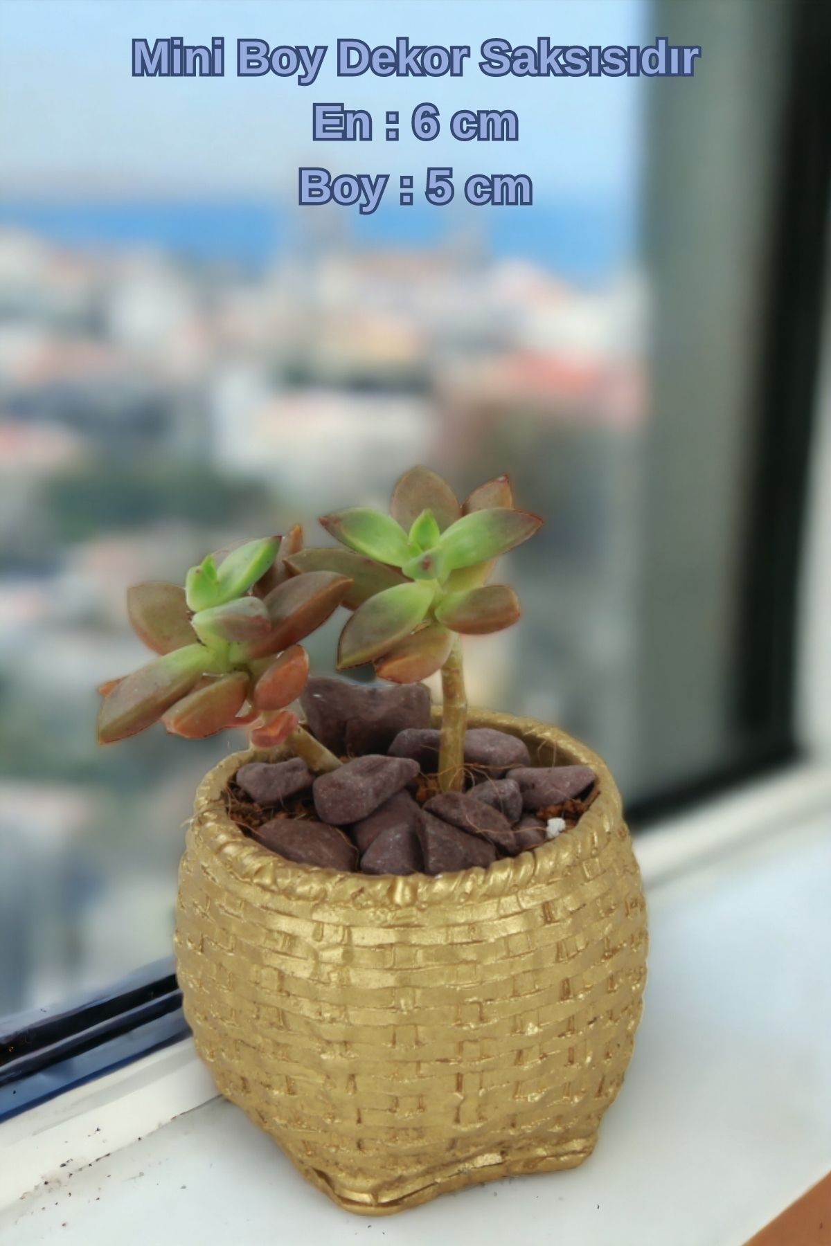 El Yapımı Saksı Altın Dekoratif Saksı Küçük Boy Model 29