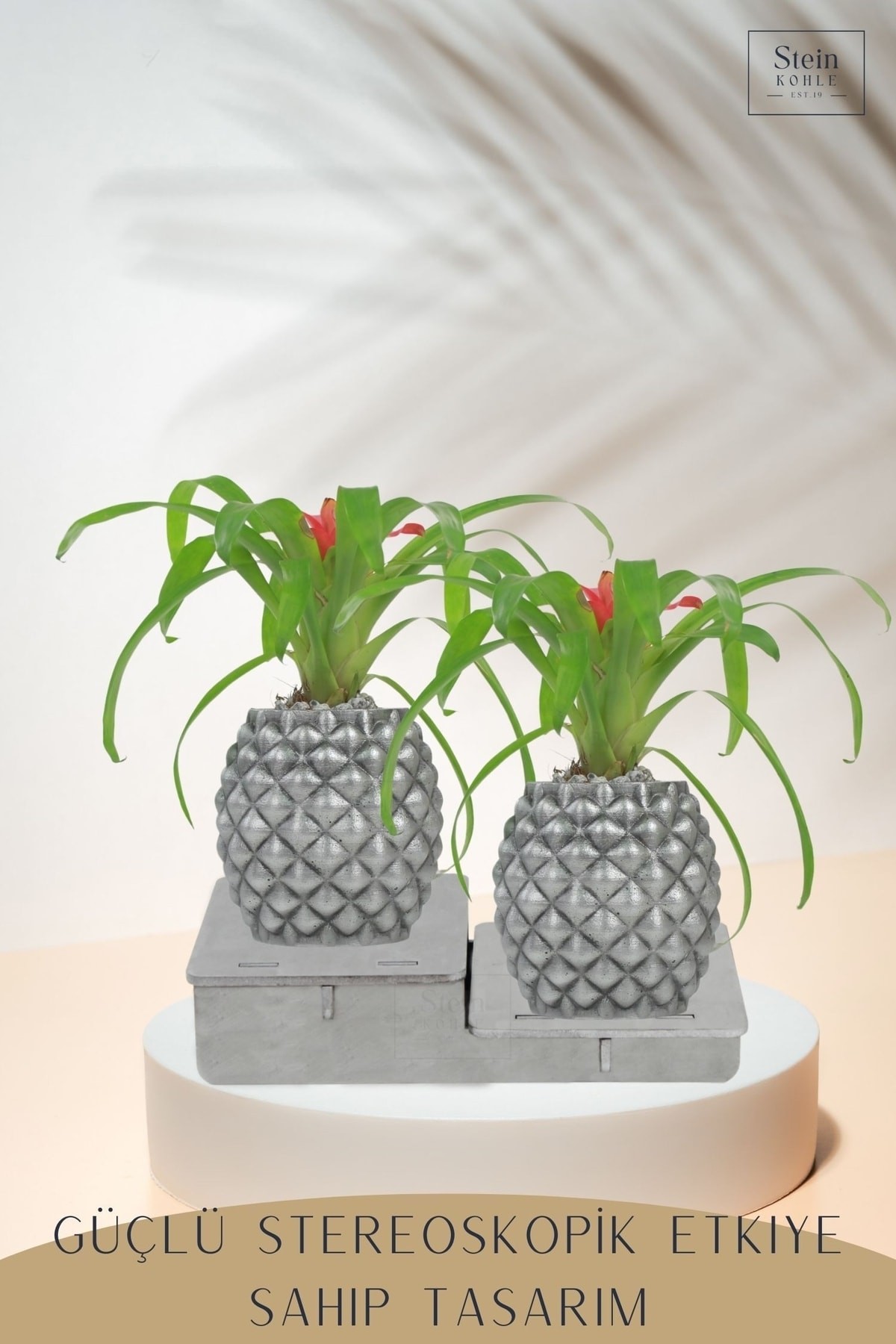 Ayaklı Saksı Ahşap Büyük Boy 2 Adet Gümüş Renk Eskitme Uygulamalı Ananas Model