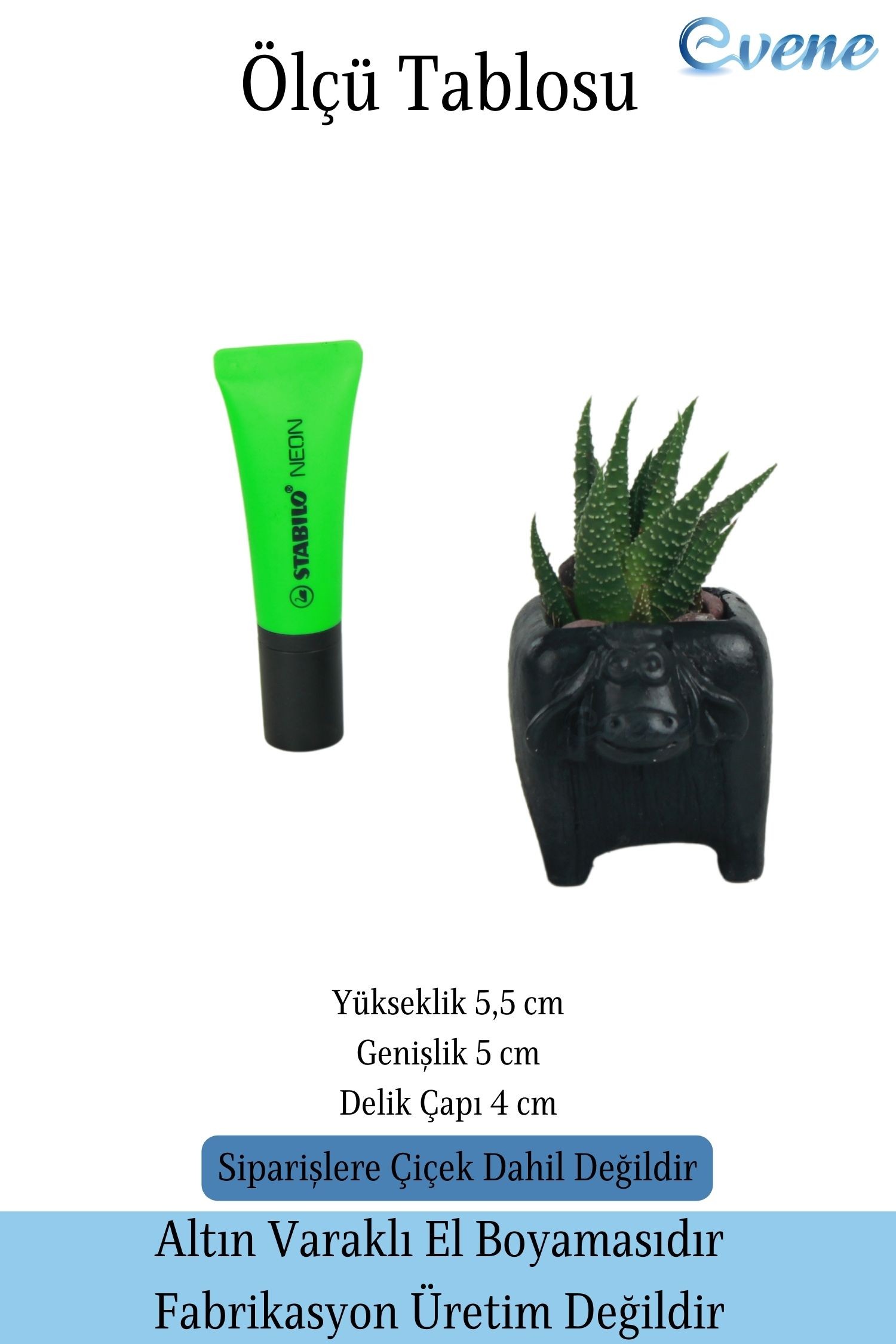 SİYAH thumbnail image
