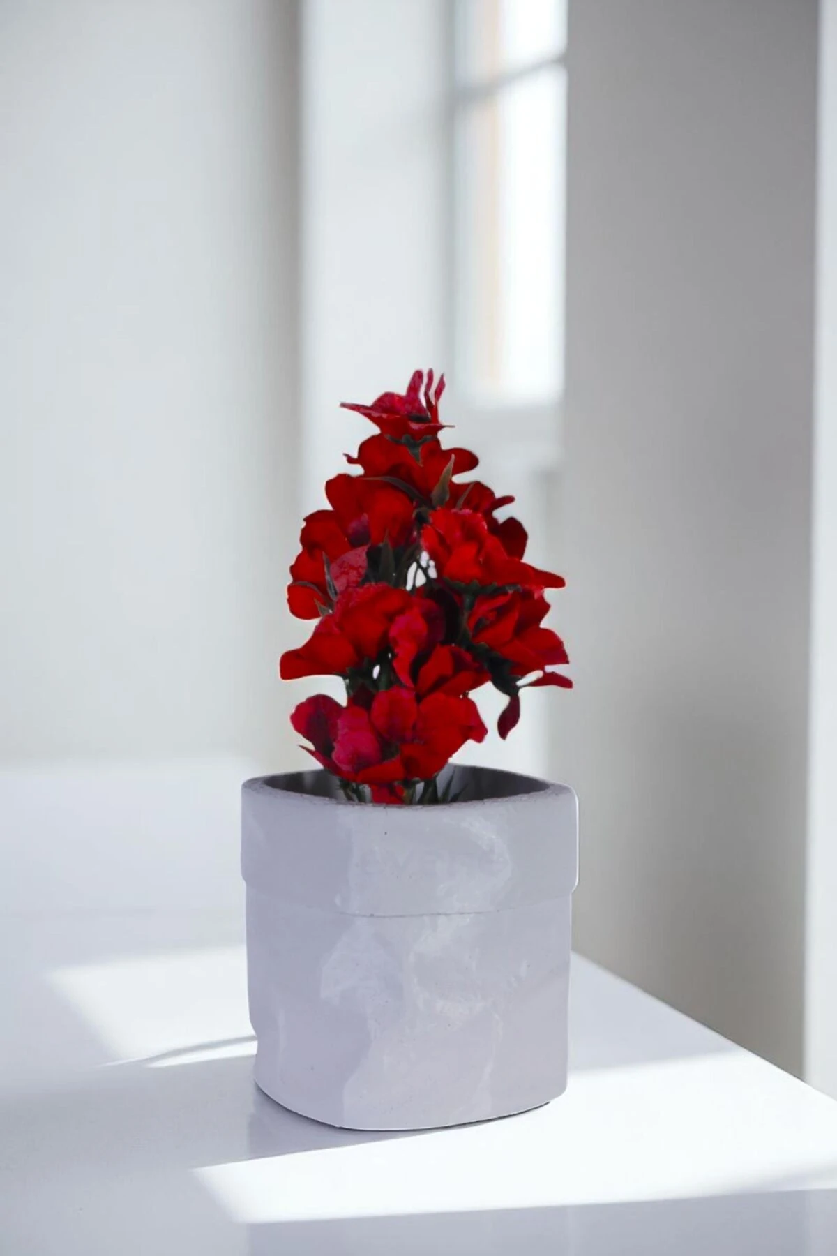 Beyaz thumbnail image