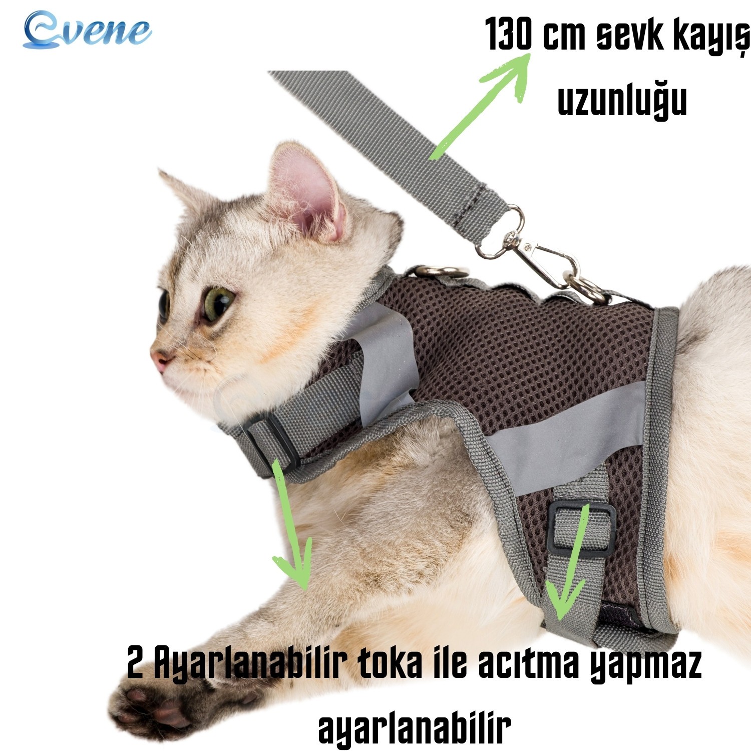 Kedi Tasması Göğüs Boyun Tasma Seti Sevk Kayışlı Terletmeyen Nefes Alan Reflektörlü Tasma