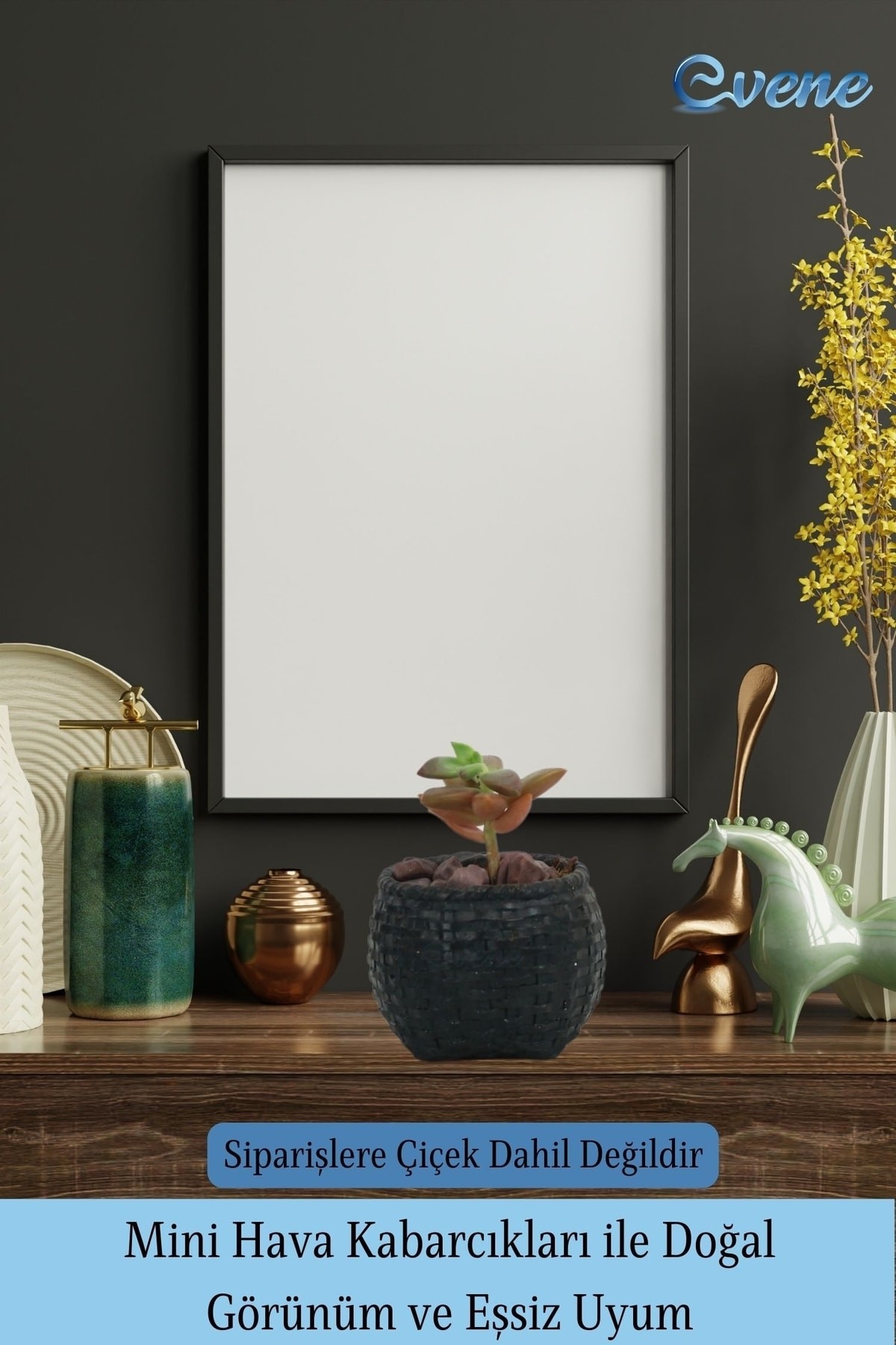 Mini Çiçek Saksı Küçük Sukulent Siyah Kaktüs Saksısı Sepet Örgü Saksı Model