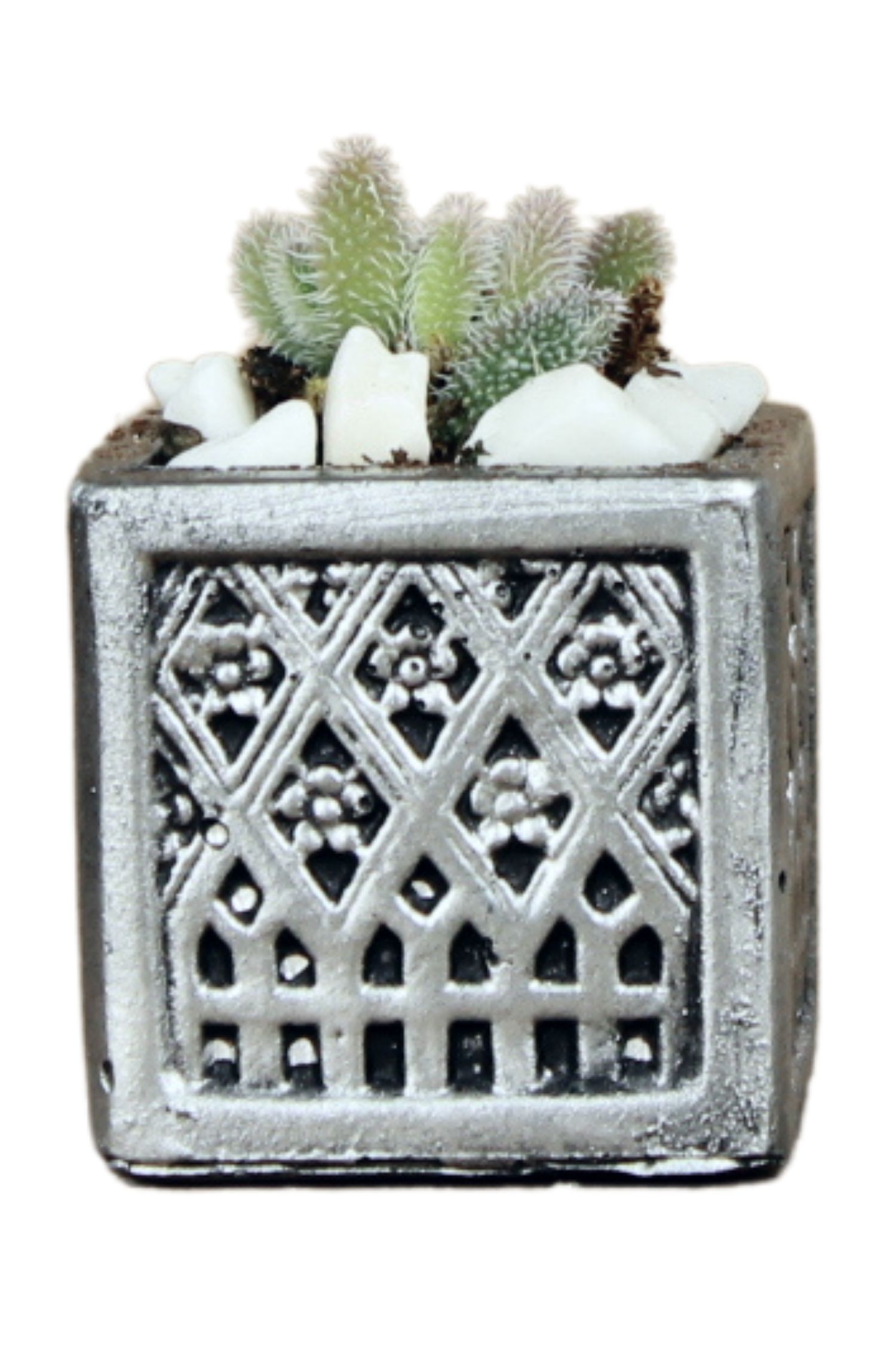 Mini Çiçek Saksısı Küçük Sukulent Gümüş Eskitme Kaktüs Saksı Mini Kare Model