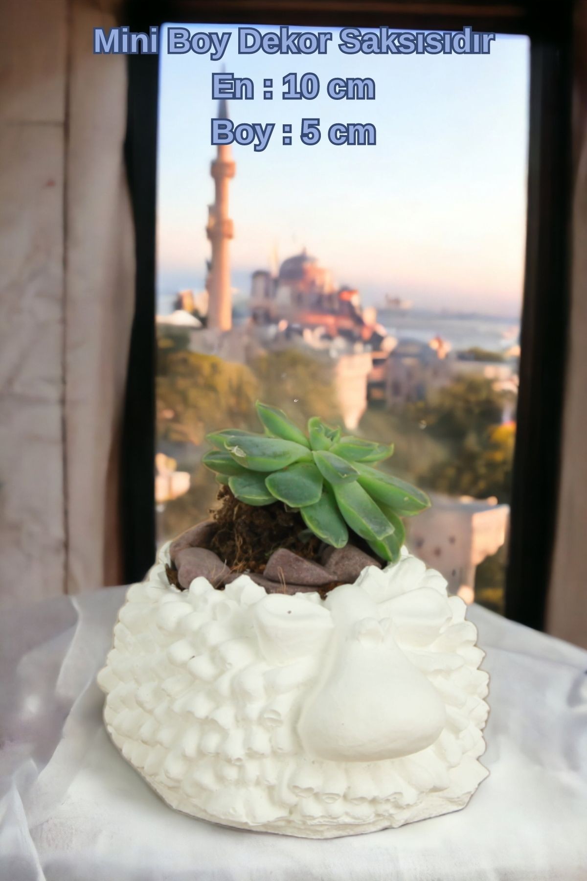 Beyaz thumbnail image