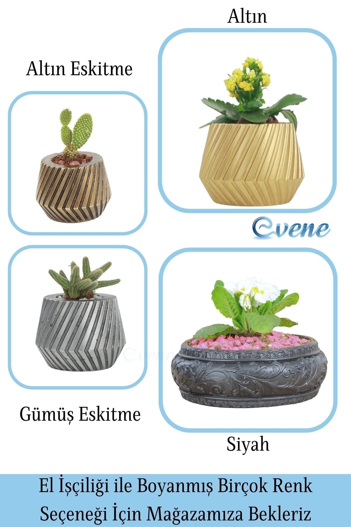 SİYAH thumbnail image