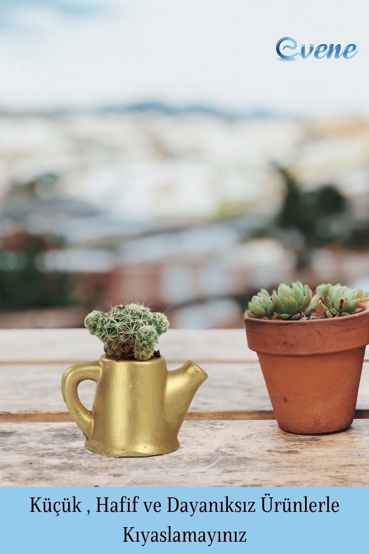 Mini Çiçek Saksı Küçük Sukulent Gümüş Kaktüs Saksısı Mini Çaydanlık Model