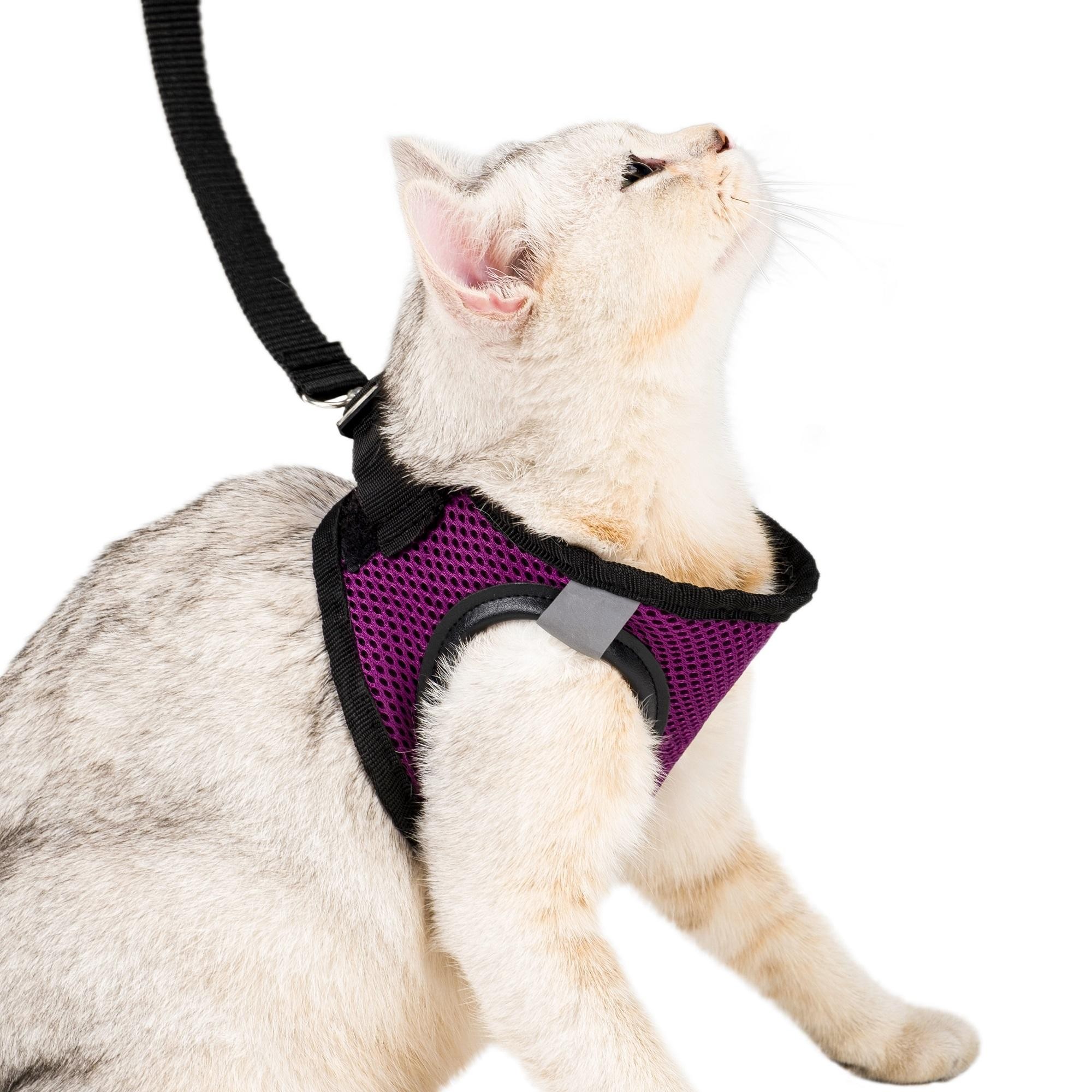 Kedi Köpek Tasması Large Beden Reflektörlü Fileli Hava Alan Kumaş Sevk Kayışlı Model Paris