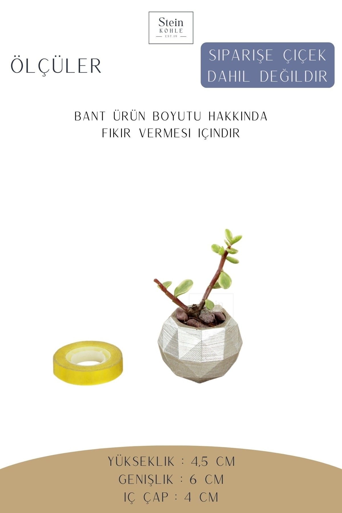 Dekoratif Saksı Minik Kaktüs Saksısı Gümüş Renk 1 Adet Dönen Poly Model