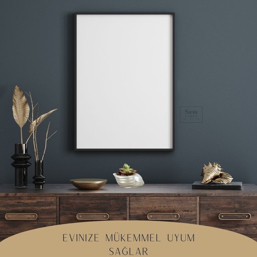 Stein Kohle Dekoratif Saksı Minik Kaktüs Saksısı Deniz Salyangozu Model