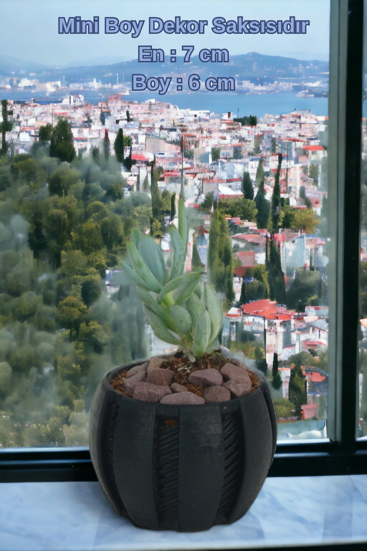 SİYAH thumbnail image
