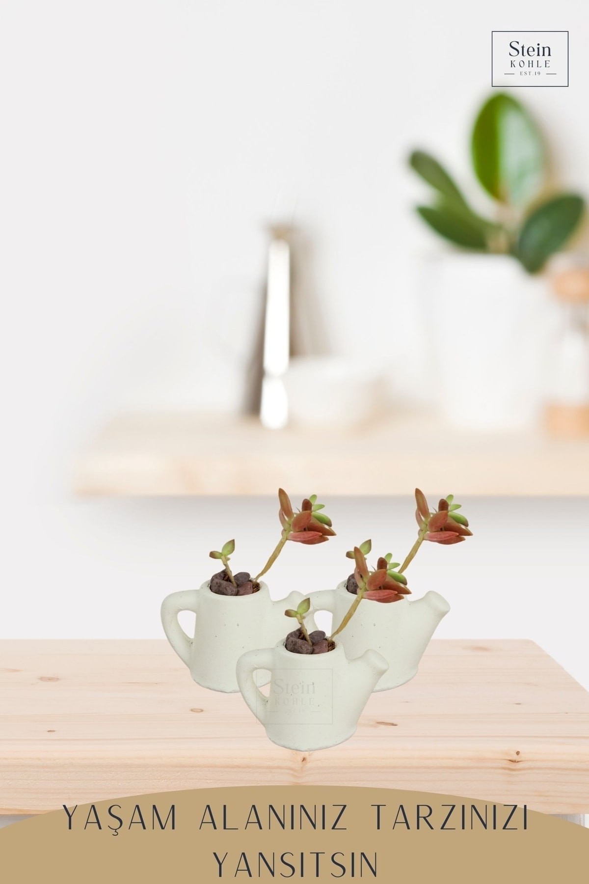 Dekoratif Saksı Minik Kaktüs Saksısı Beyaz Renk 3 Adet Saksı Seti Mini Çaydanlık Model