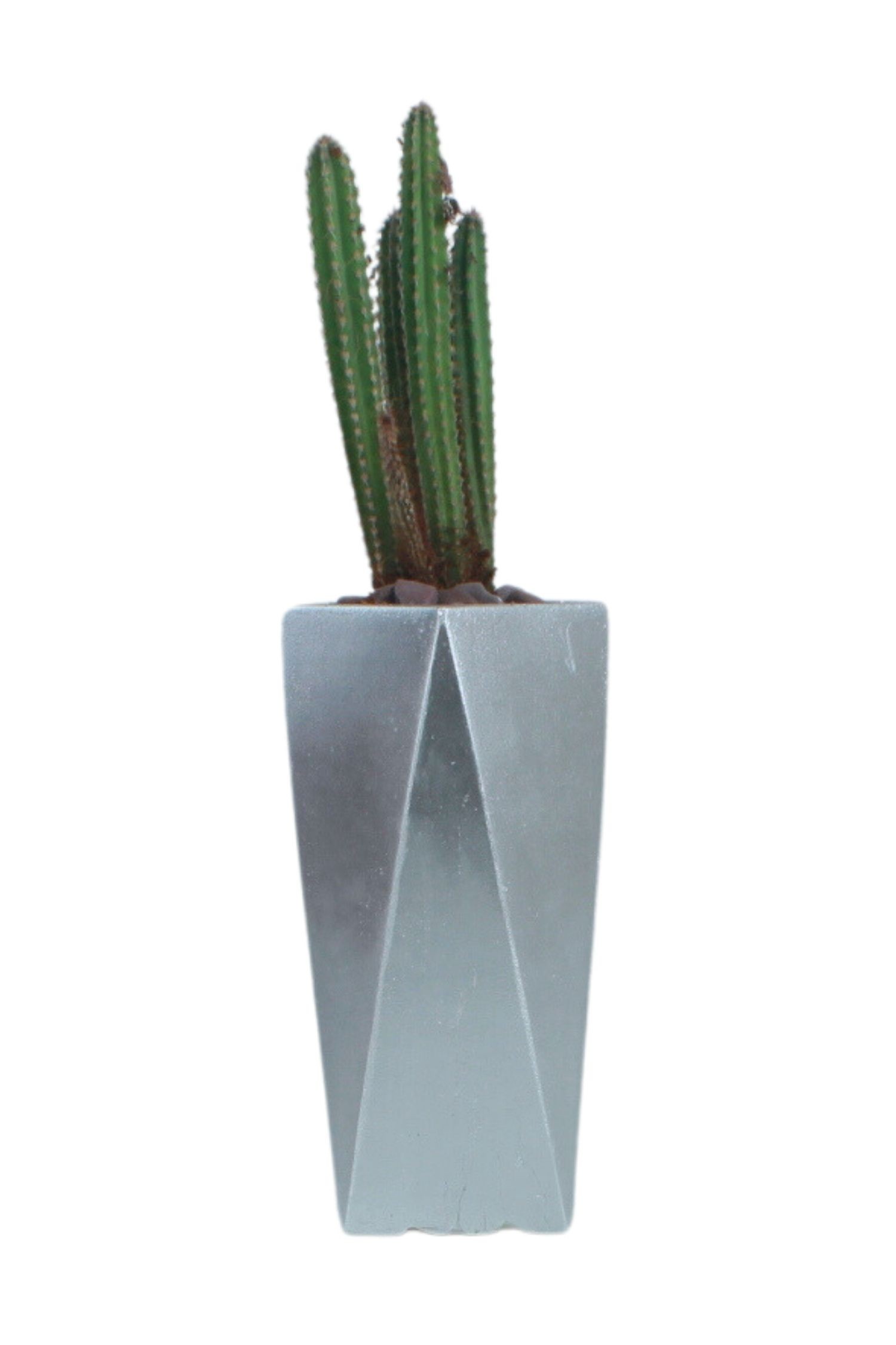 Gümüş thumbnail image
