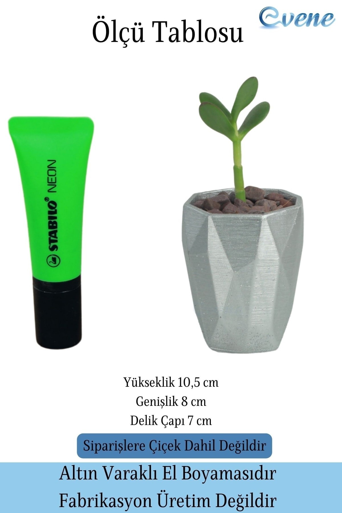 Saksı Kaktüs Saksısı Dekoratif Saksı Model 12
