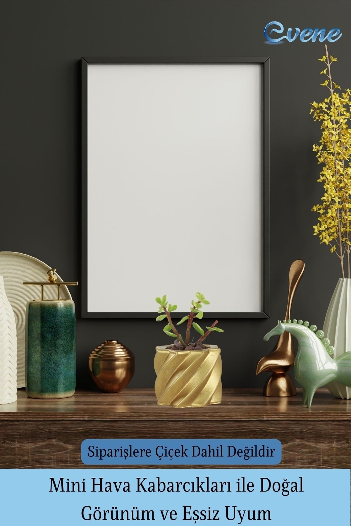 Mini Çiçek Saksı Küçük Sukulent Altın Kaktüs Saksısı Kalın Çizgili Yıldız Model