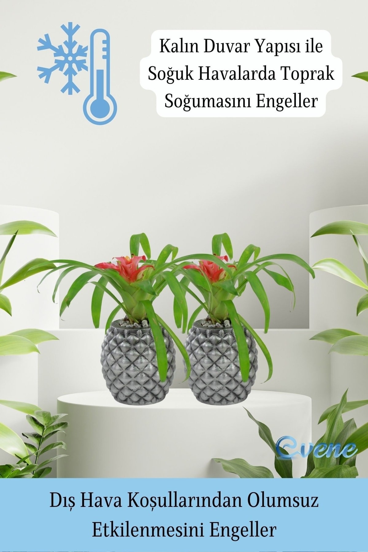 Saksı Çiçek Kaktüs Saksısı Lüx 15 Cm Gümüş Eskitme Varak Boyalı Ananas Desen Saksı Çiçeklik