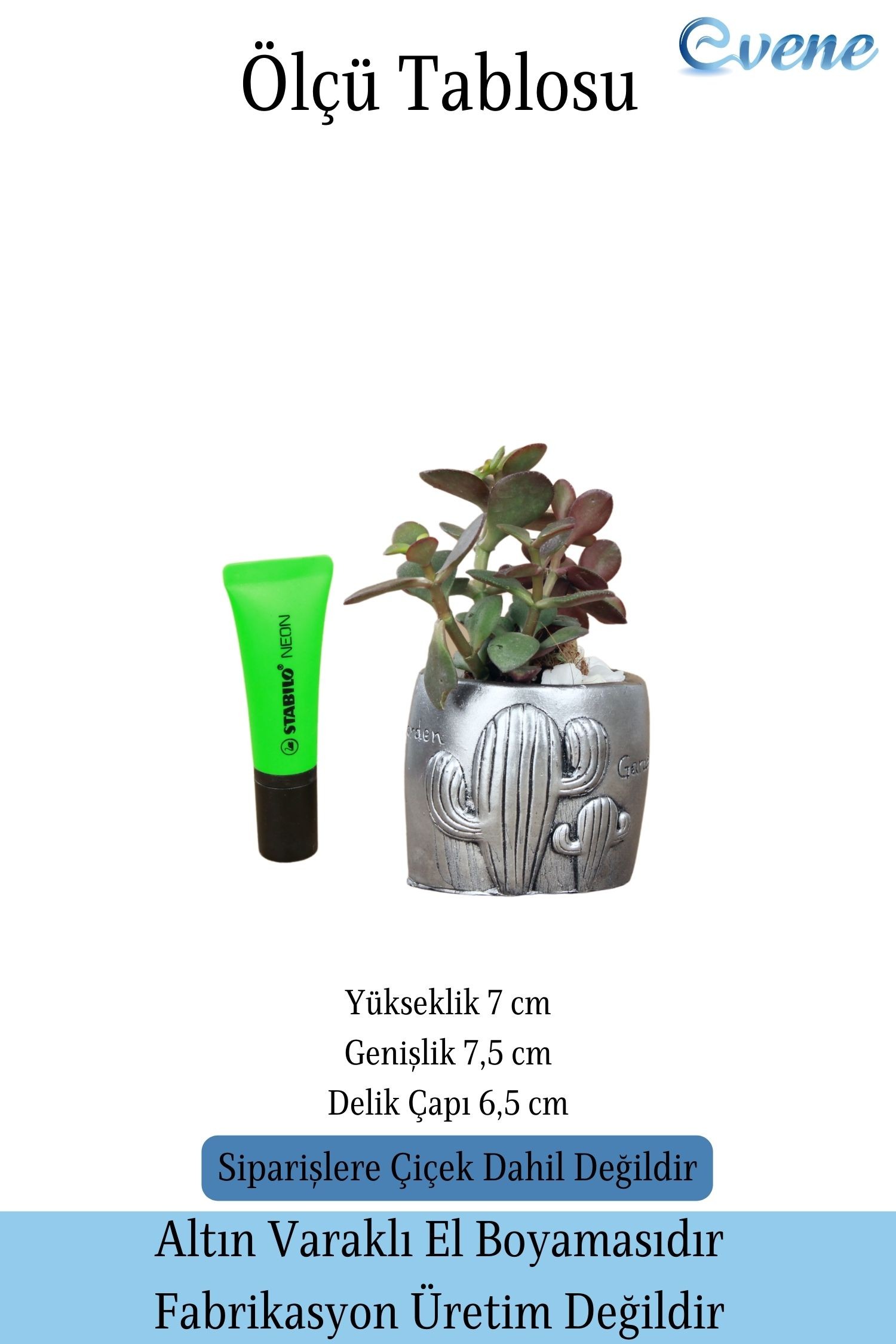 Mini Çiçek Saksısı Küçük Sukulent Gümüş Eskitme Kaktüs Desenli Model