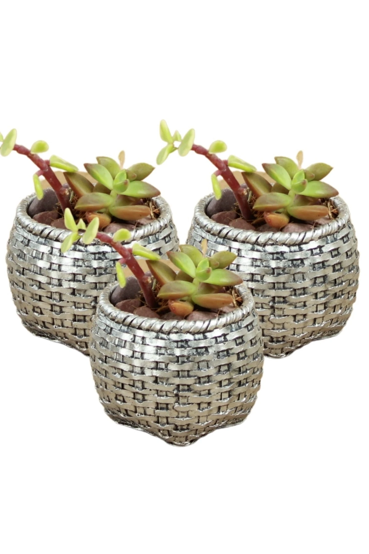 GÜMÜŞ ESKİTME thumbnail image