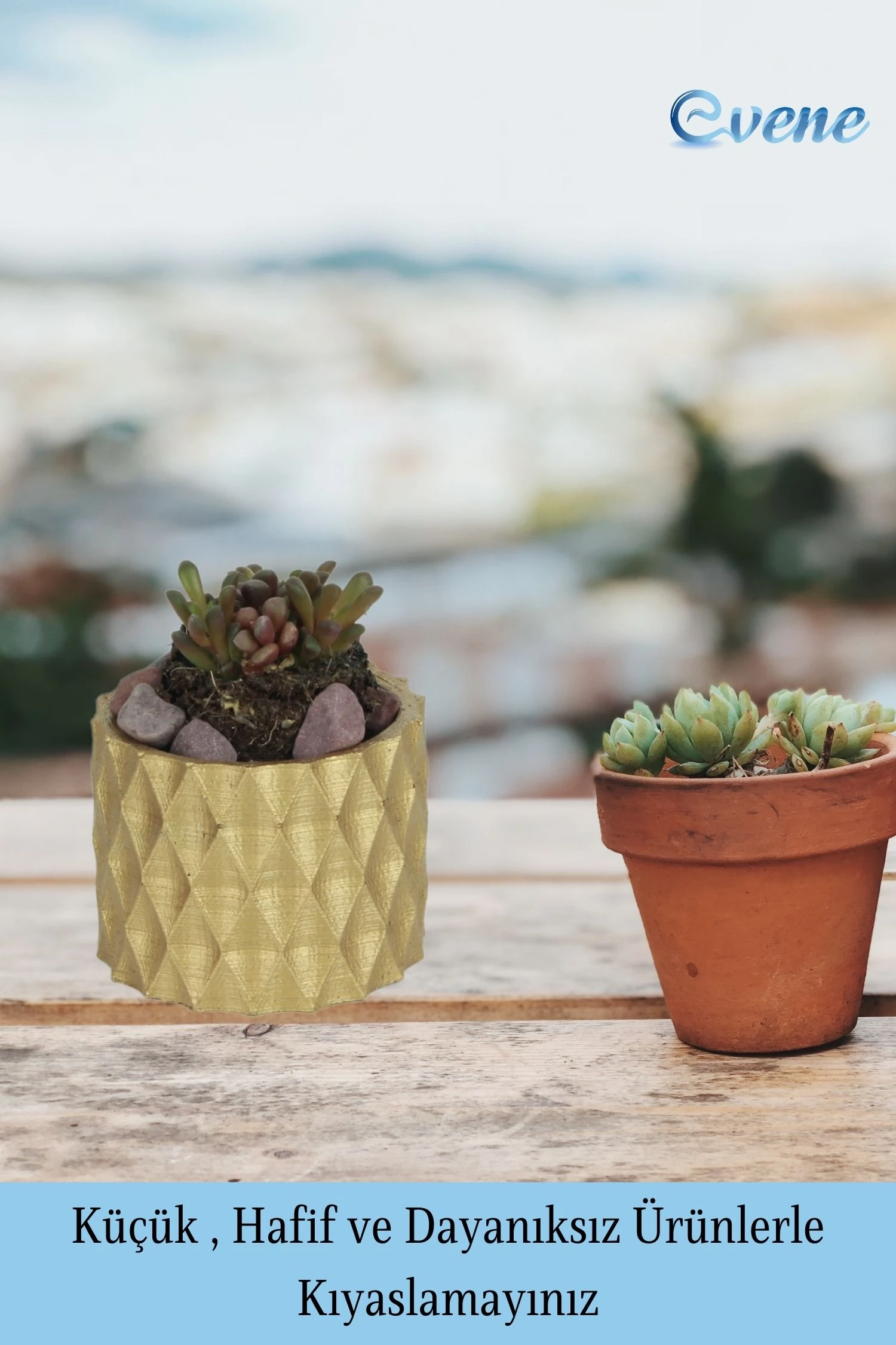 Mini Çiçek Saksısı Küçük Sukulent Altın Kaktüs Saksı Baklava Model