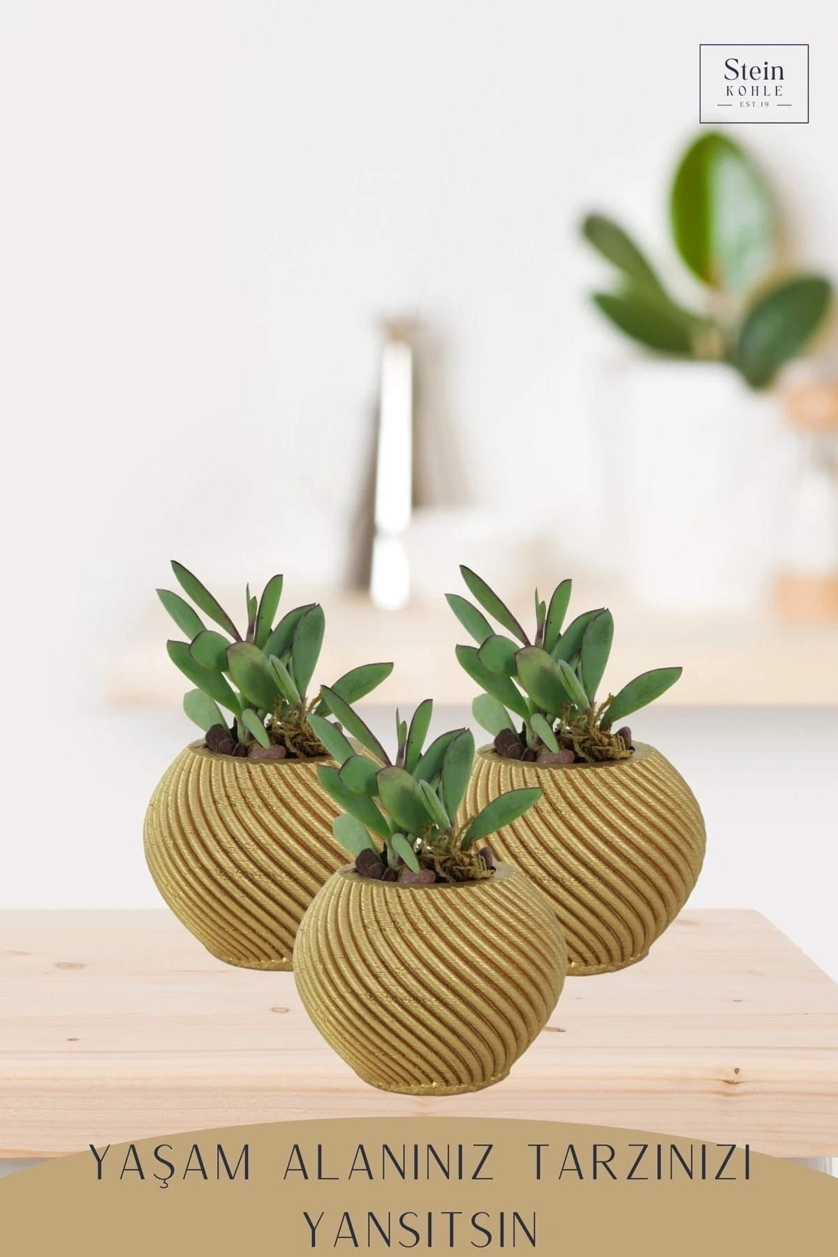 Dekoratif Saksı Minik Kaktüs Saksısı Altın Renk 3 Adet Saksı Seti Ince Çizgi Spiral Model