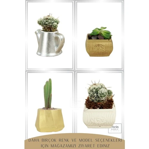 Stein Kohle Çiçek Saksısı Büyük Boy 3 Adet Altın Renk Uygulamalı Kalın Çizgi Model