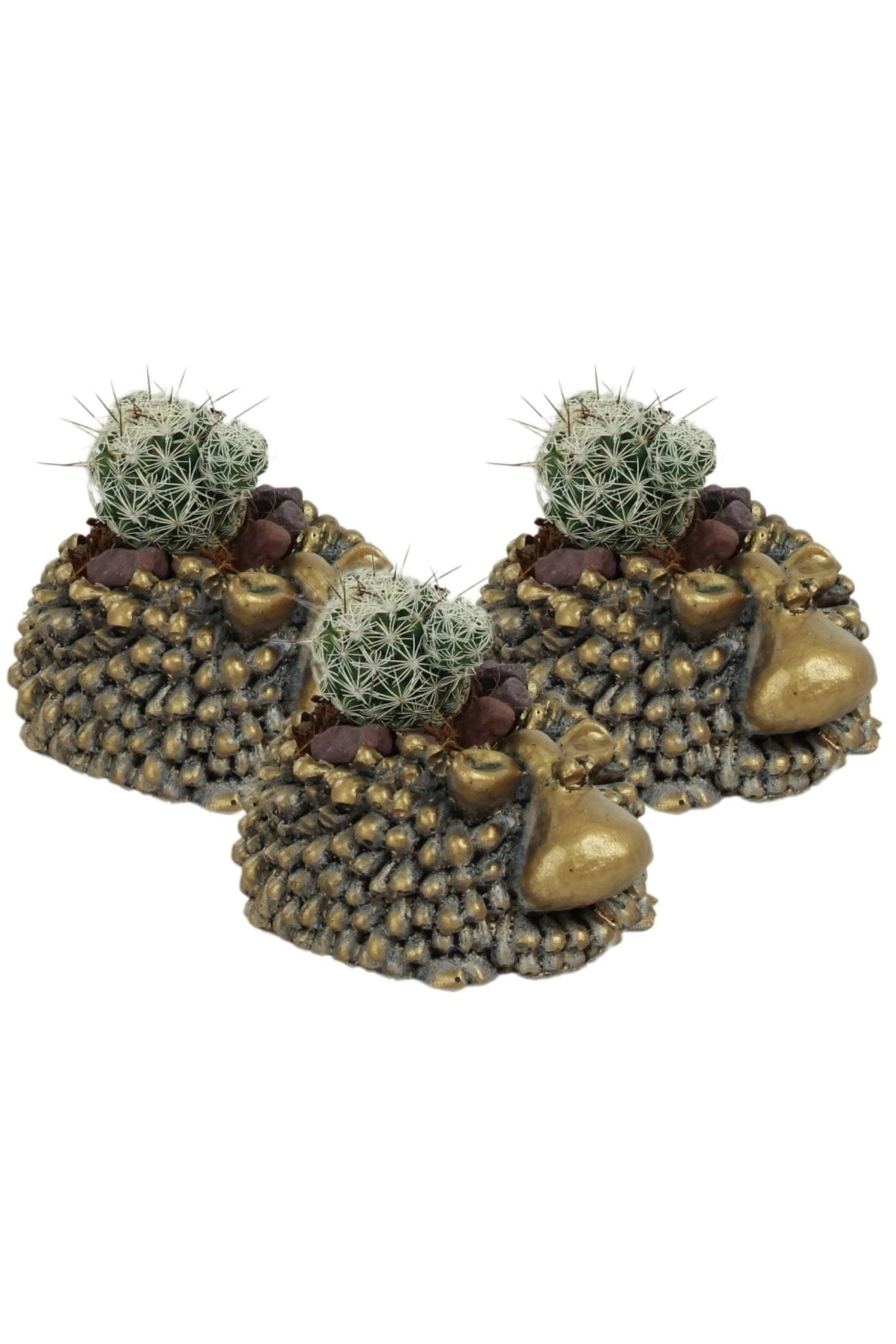 Dekoratif Saksı Minik Kaktüs Saksısı Altın Eskitme Renk 3 Adet Saksı Seti Koyun Model