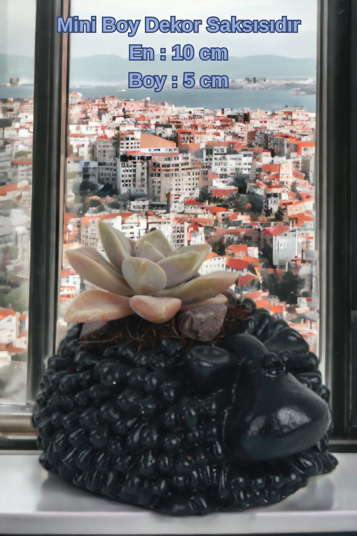 SİYAH thumbnail image