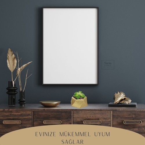 Stein Kohle Dekoratif Saksı Minik Kaktüs Saksısı Mini Poly 2 Model
