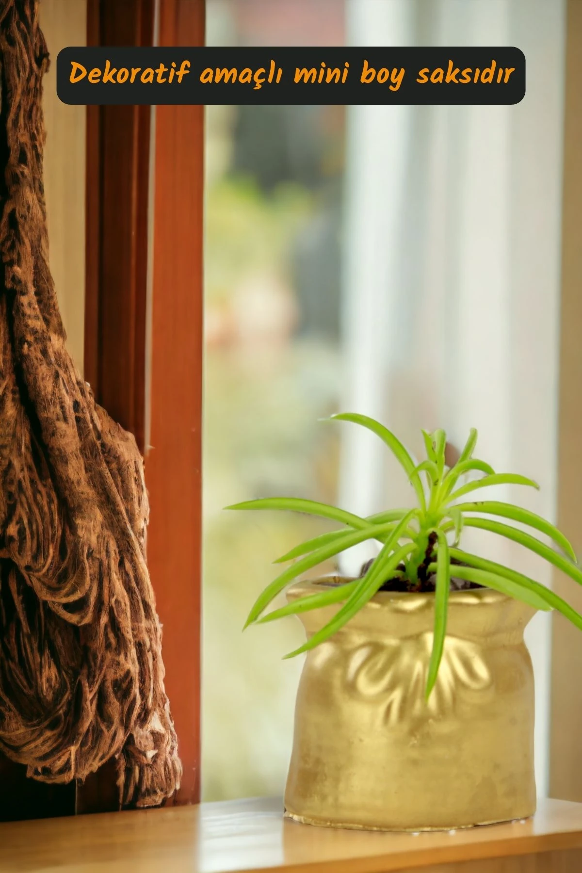 Premium Saksı Minyatür Dekoratif Kaktüs Sukulent Saksısı Model 14