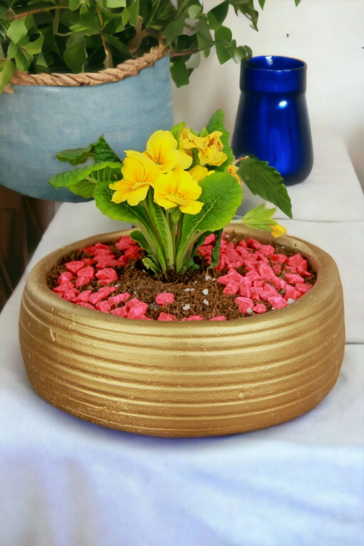 Altın thumbnail image