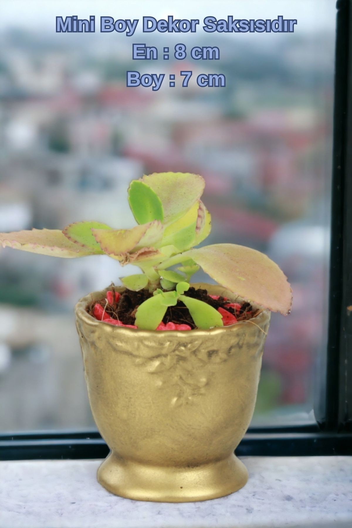 Siyah - Altın thumbnail image